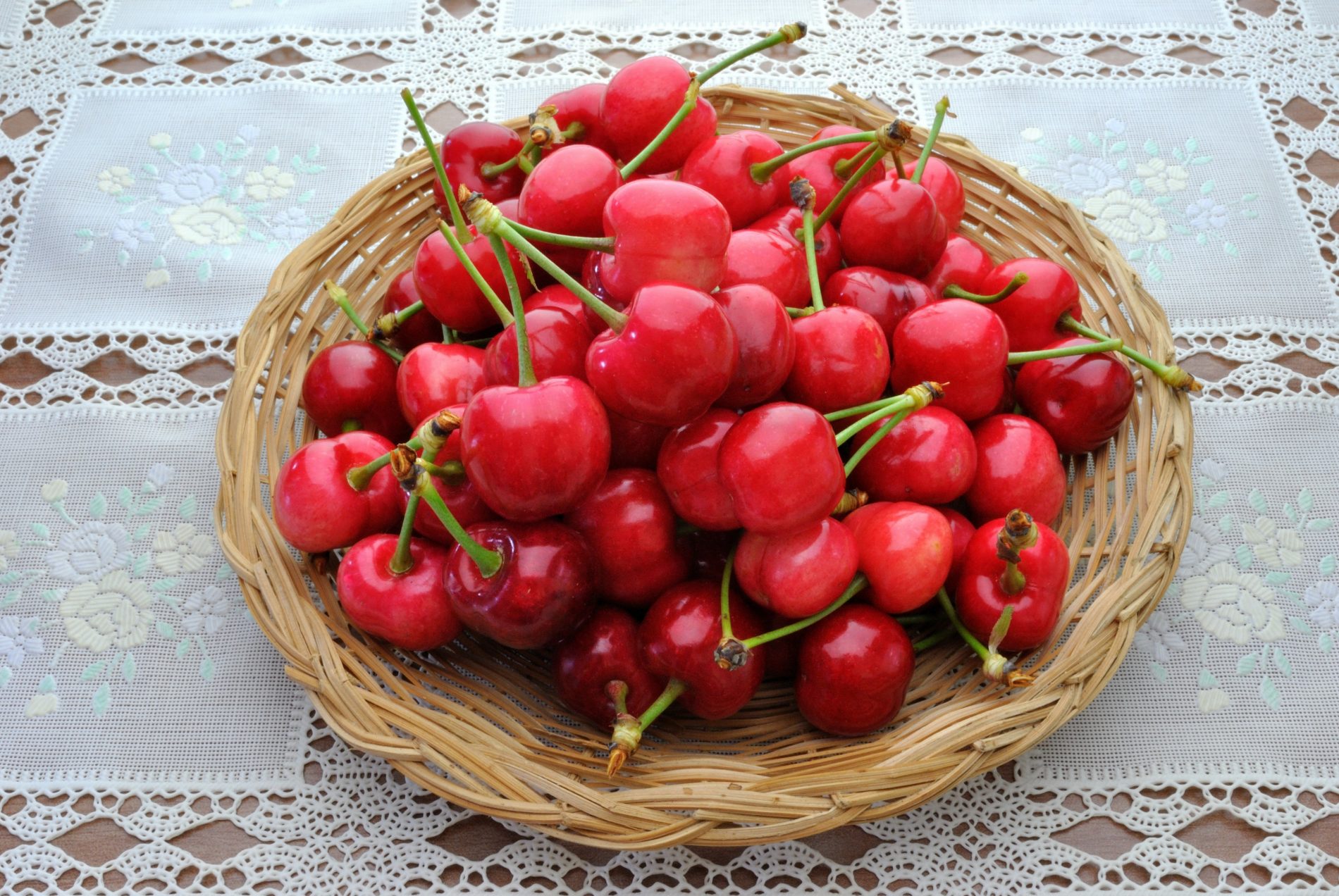 Visciole: cosa sono, differenze con amarene e ciliegie, proprietà e ricette 1 benefici delle visciole