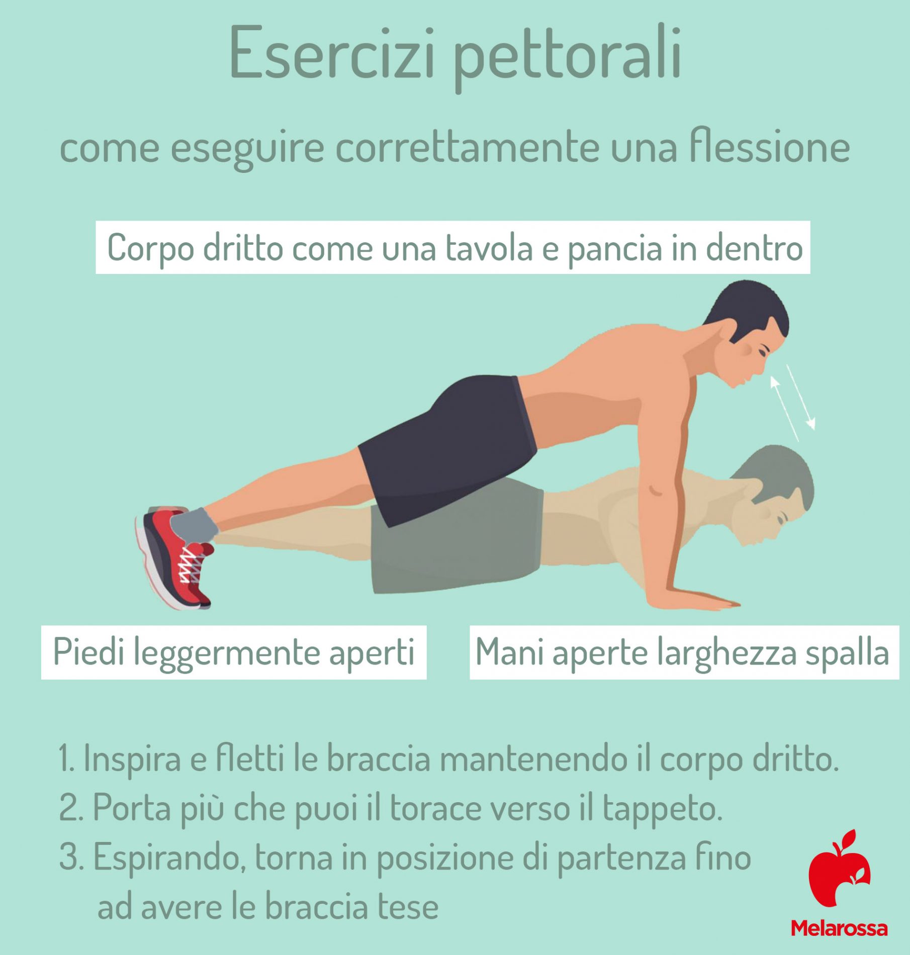Flessioni o piegamenti: come si fanno, muscoli coinvolti e benefici del push-up 1 come eseguire correttamente le flessioni