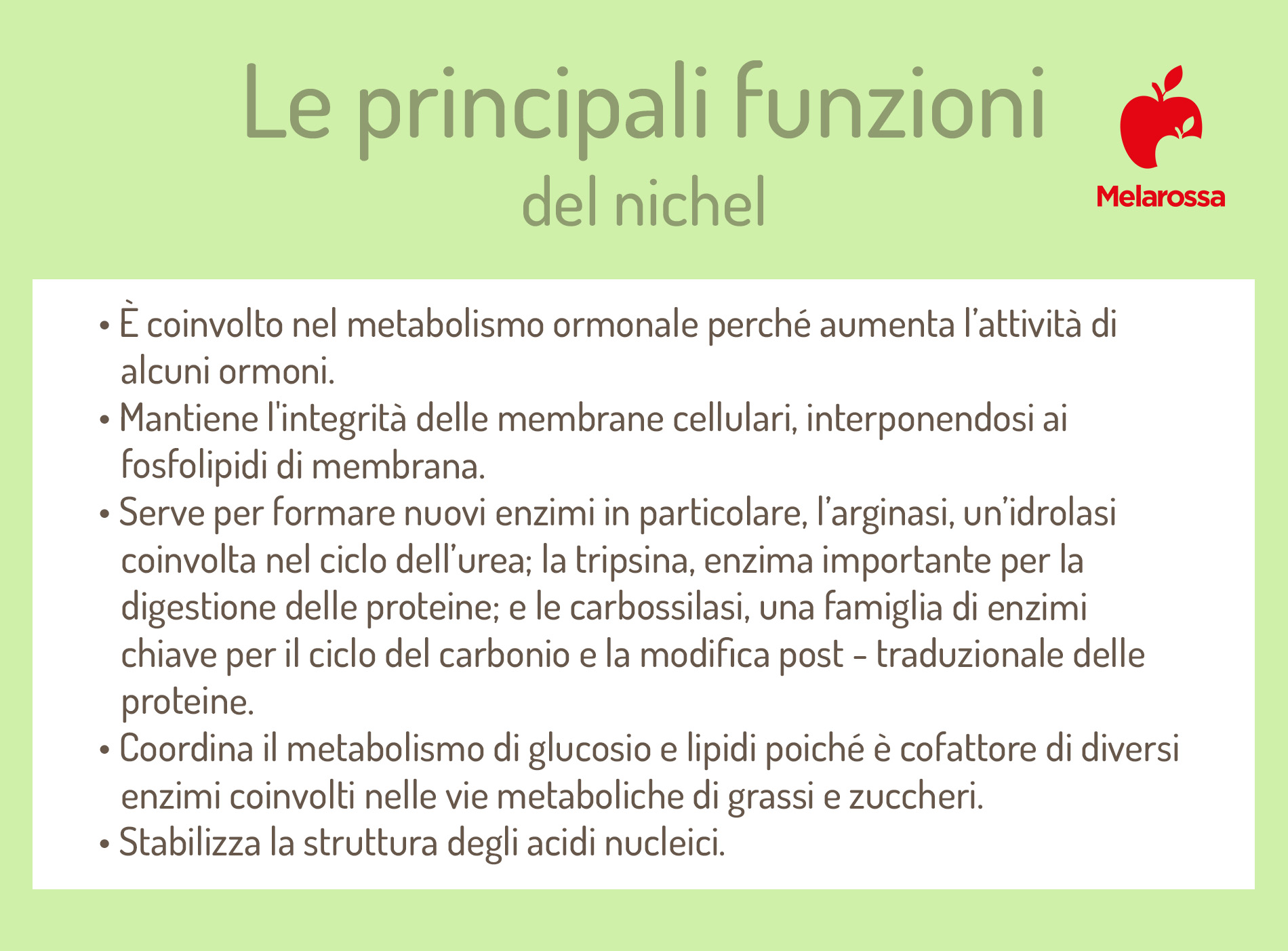 Nichel: che cos'è, a cosa serve, alimenti ricchi, benefici e controindicazioni 2 nichel a cosa serve e benefici