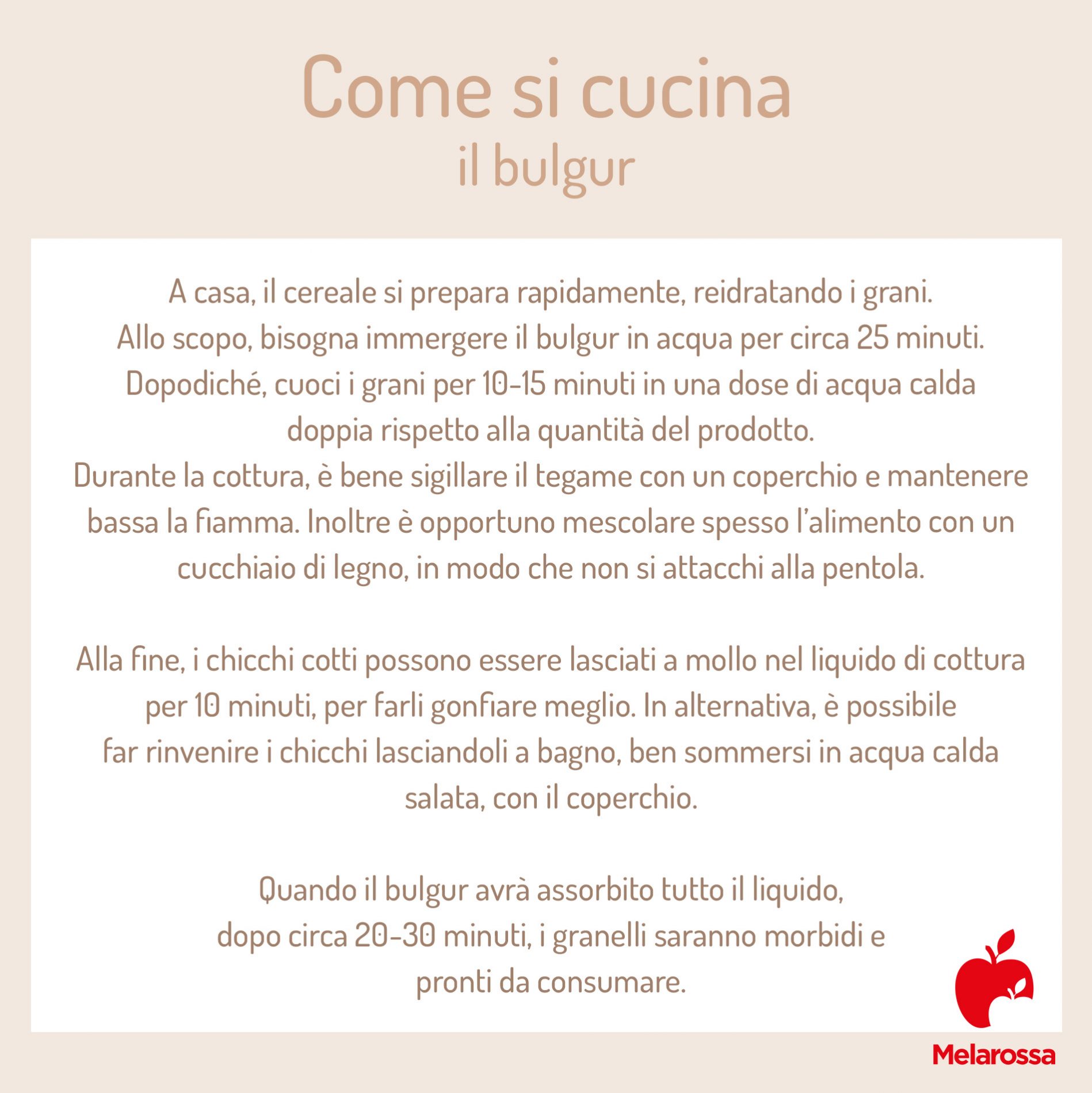 Bulgur: che cos'è, come cucinarlo, valori nutrizionali, le migliori ricette 4 come si cucina il bulgur