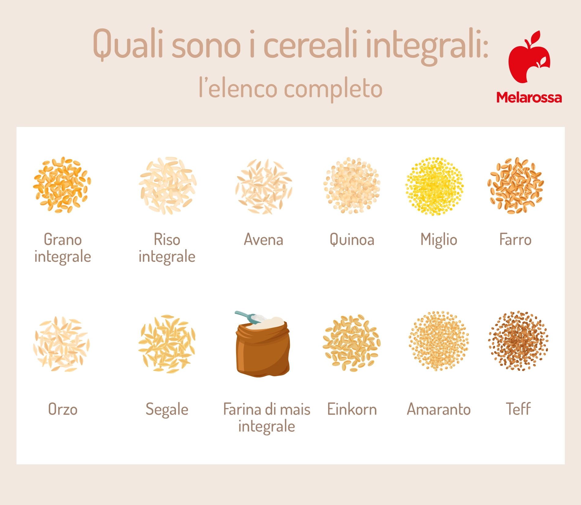 Cereali integrali: elenco completo, quali consumare a colazione, calorie e benefici 2 cerali integrali: elenco completo