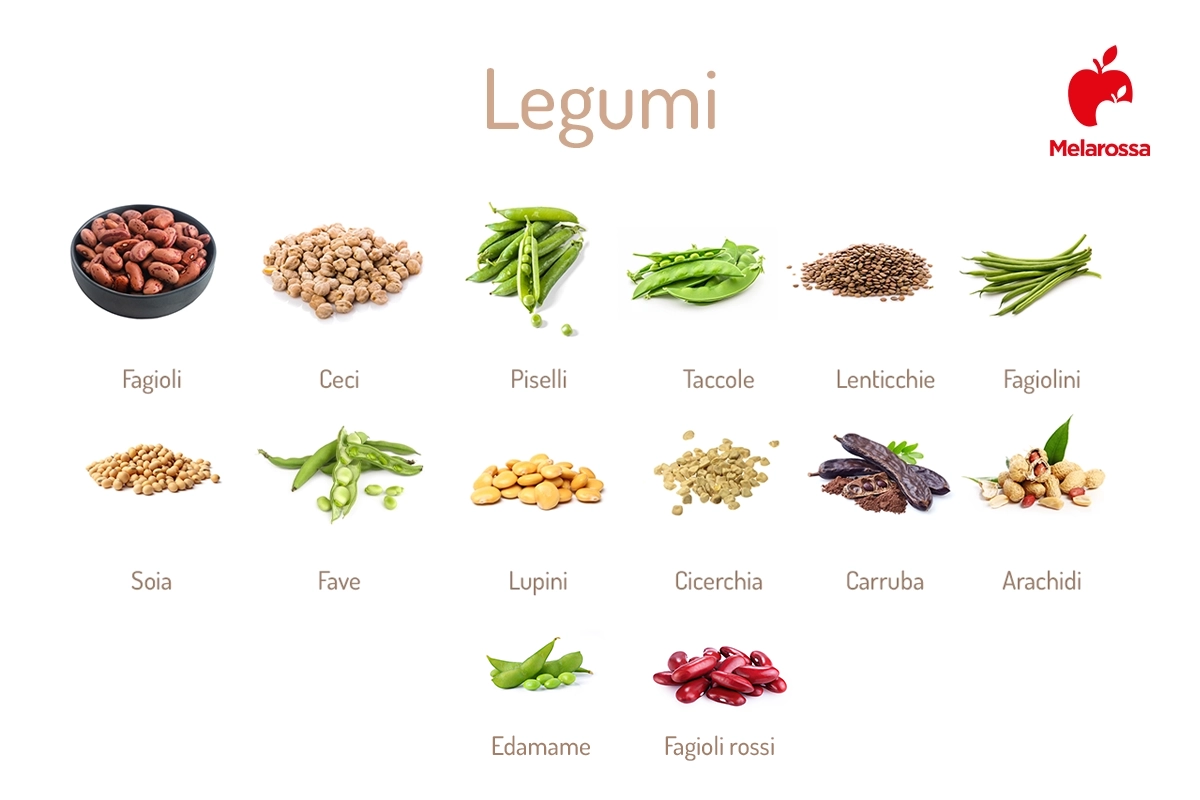 Legumi: quali sono, proprietà e benefici 1 Legumi: quali sono, elenco completo
