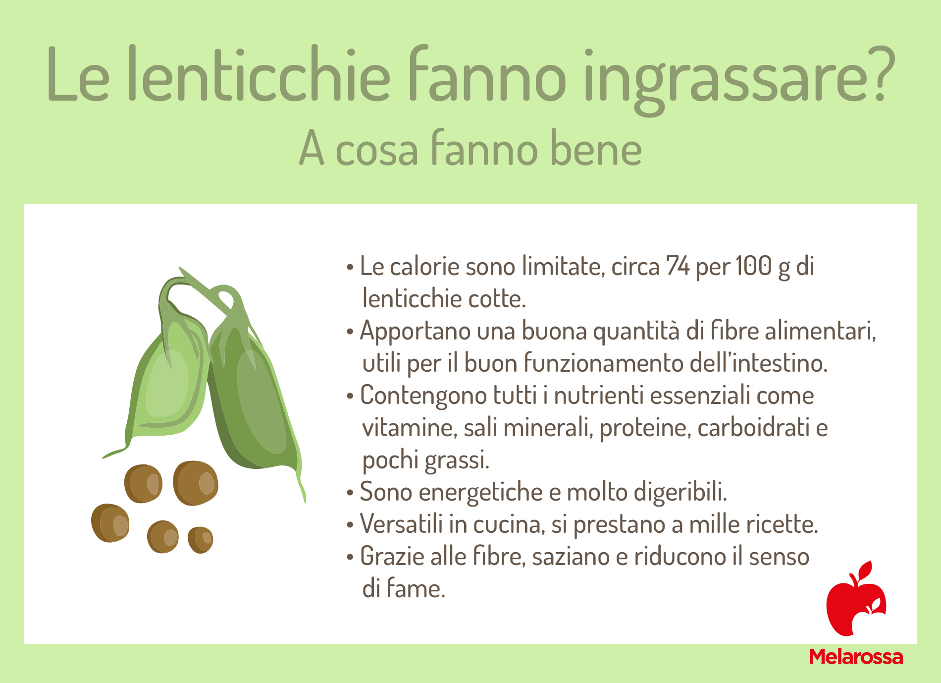 Le lenticchie fanno ingrassare? Scopri se è vero, le calorie e quante ne puoi mangiare 1 grafica su le lenticchie fanno ingrassare?