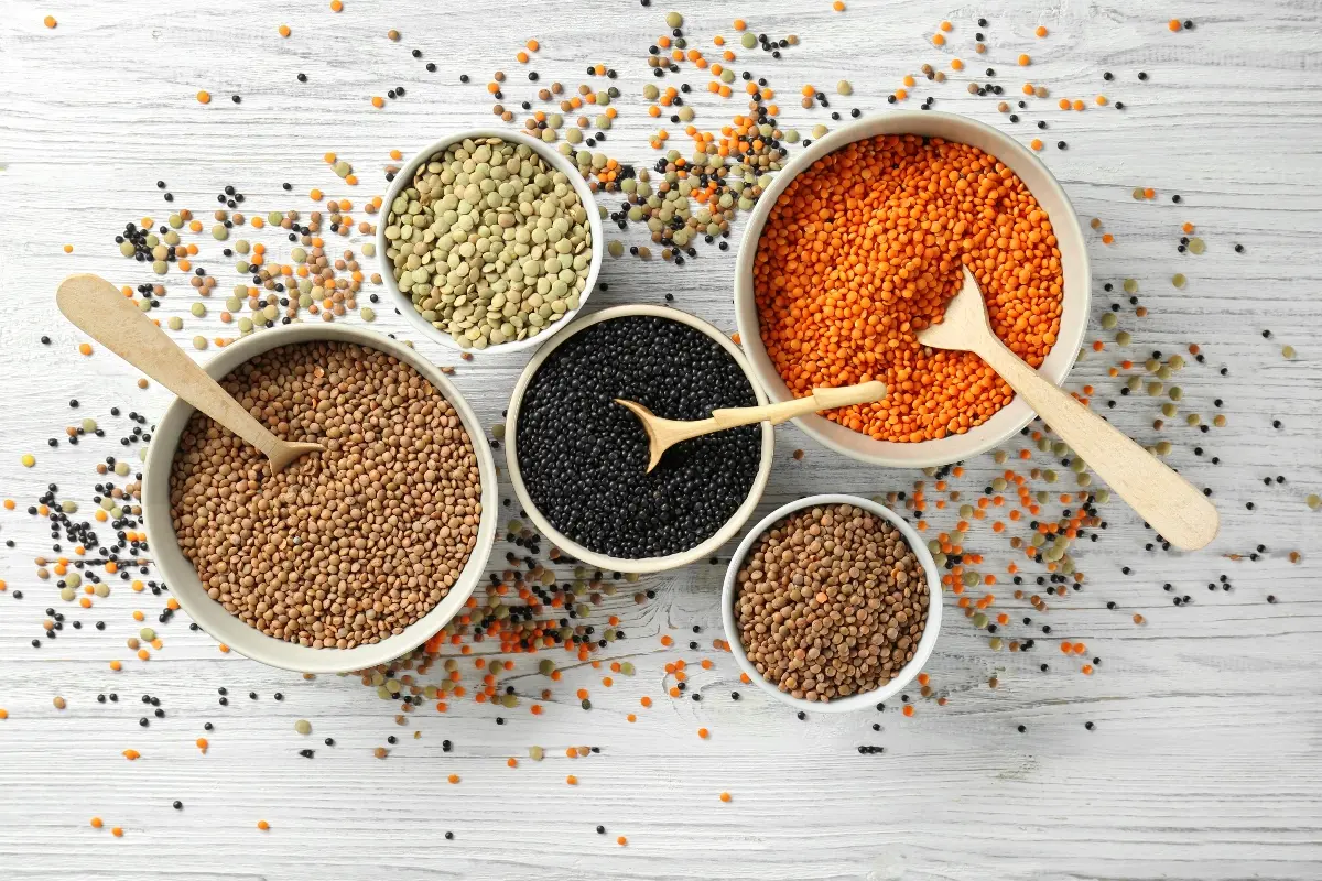 Lenticchie: cosa sono, proprietà, come cucinarle e le migliori ricette 8 varietà di lenticchie