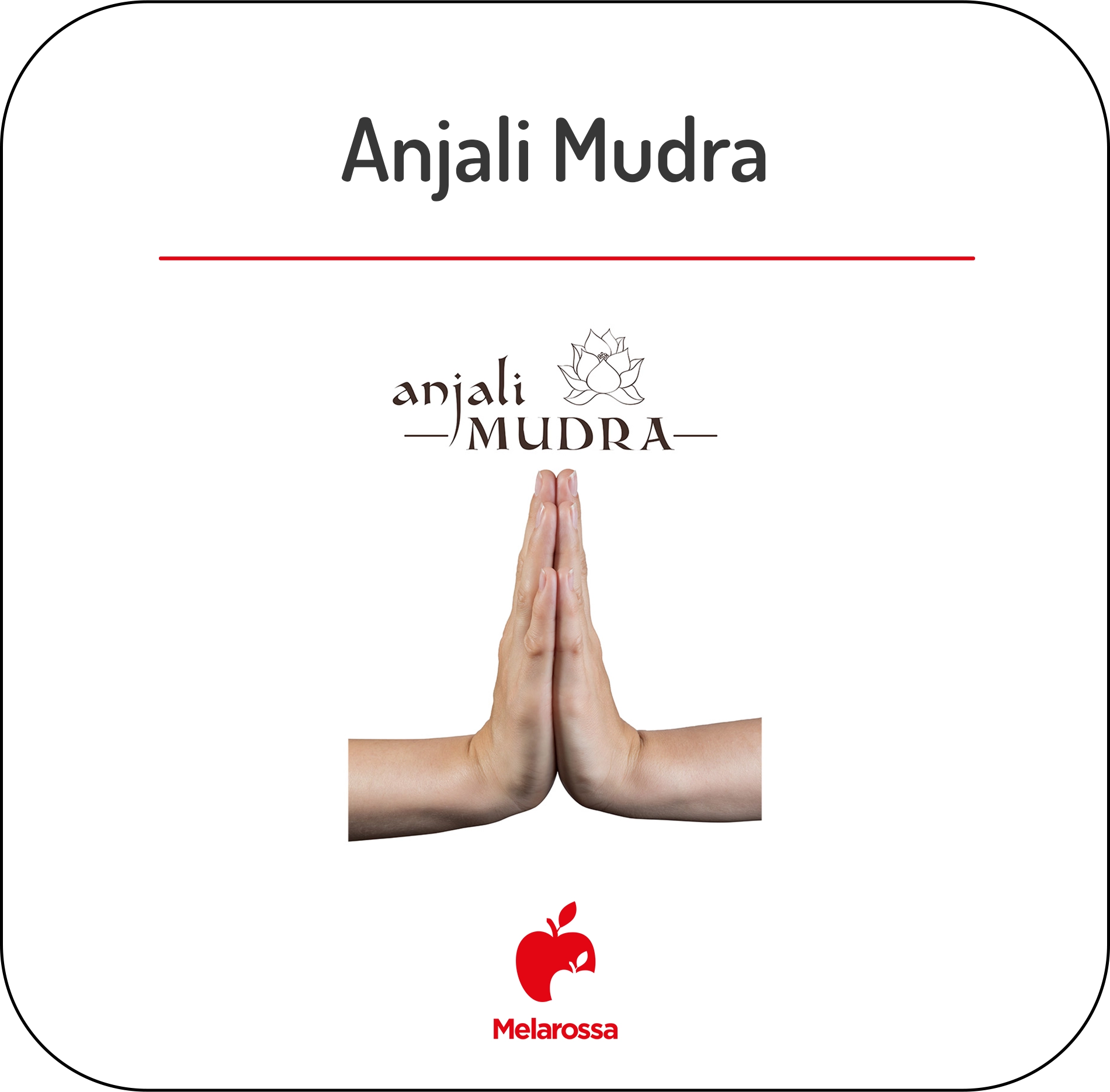 Mudra o yoga delle mani: come praticare, posizioni più famose e perché funzionano 3 infografica che mostra la posizione anjali mudra