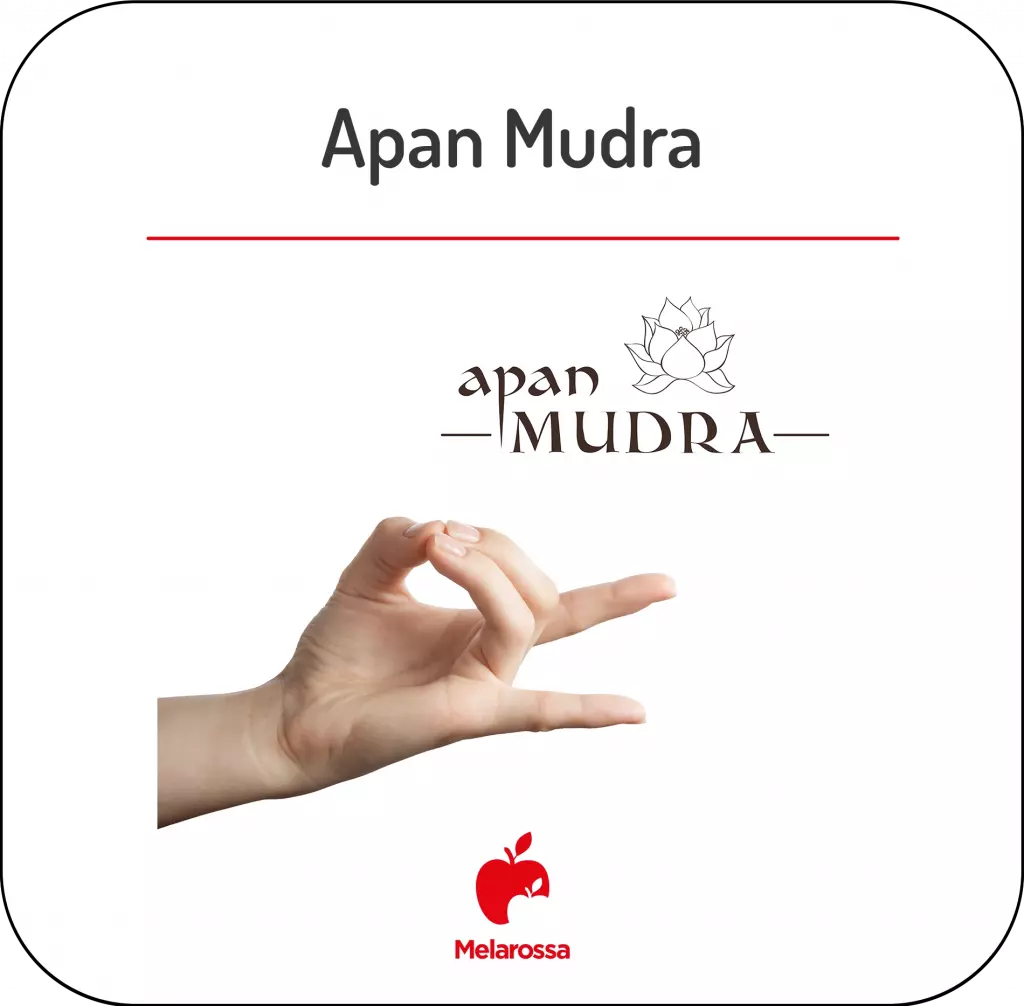 Mudra o yoga delle mani: come praticare, posizioni più famose e perché funzionano 7 infografica della posizione dell'apan mudra