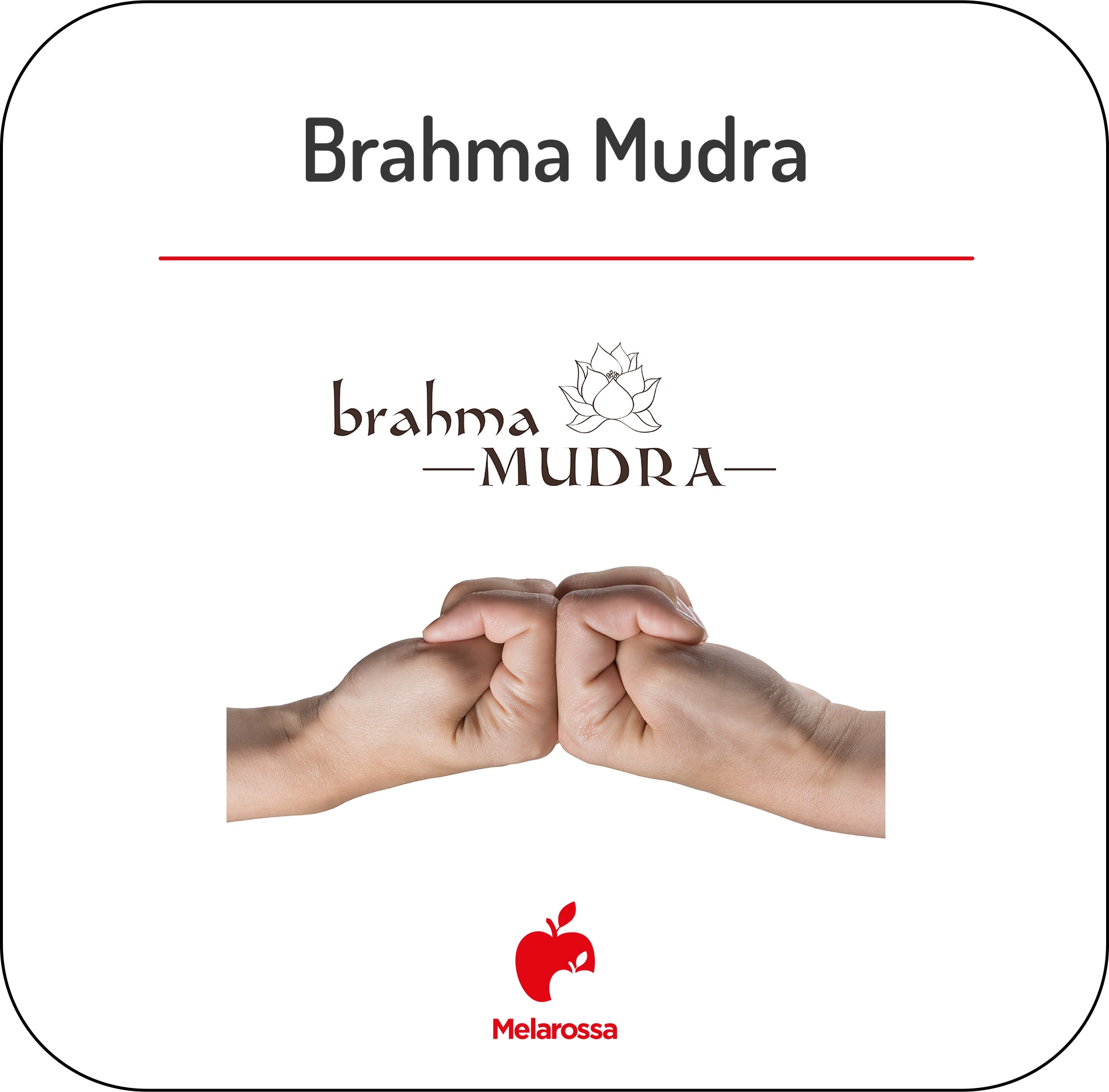 Mudra o yoga delle mani: come praticare, posizioni più famose e perché funzionano 5 Infografica che illustra la posizione del Brahma mudra