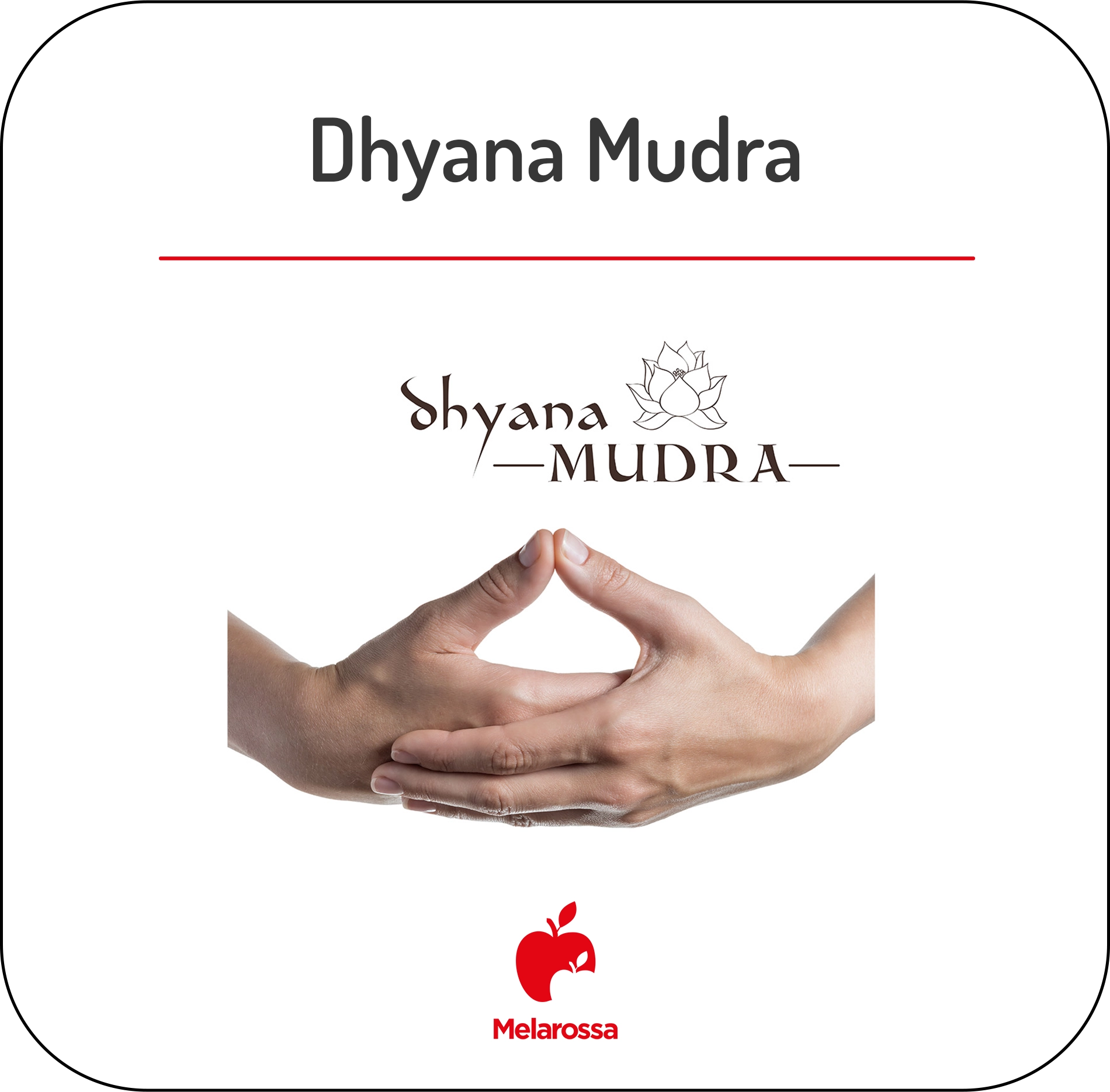 Mudra o yoga delle mani: come praticare, posizioni più famose e perché funzionano 4 Infografica che mostra la posizione del Dhyāna mudra