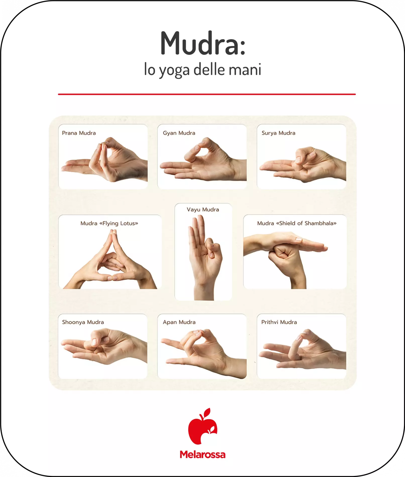 Mudra o yoga delle mani: come praticare, posizioni più famose e perché funzionano 2 infografica che illustra mudra: lo yoga delle mani, panoramica con tutte le posizioni corrette
