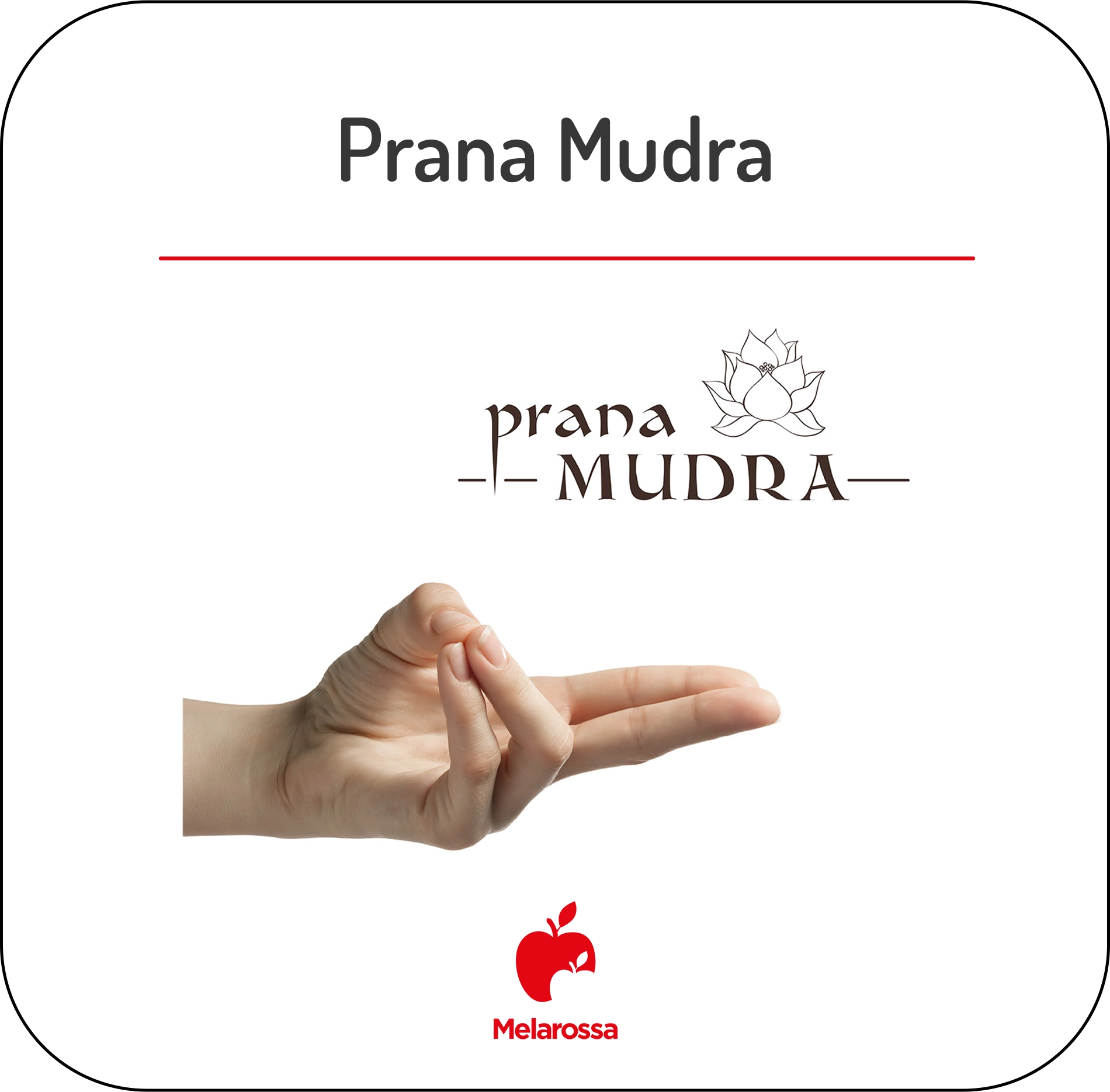 Mudra o yoga delle mani: come praticare, posizioni più famose e perché funzionano 6 Infografica che illustra la posizione del prana mudra