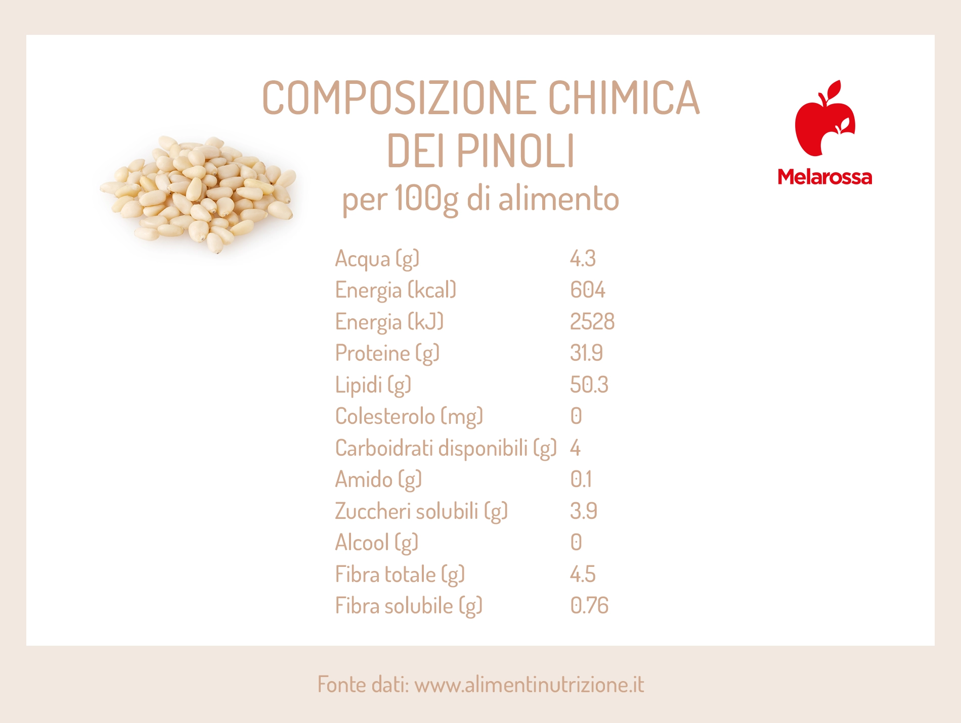Pinoli: cosa sono, proprietà, valori nutrizionali, benefici e usi in cucina 1 pinoli composizione chimica e calorie