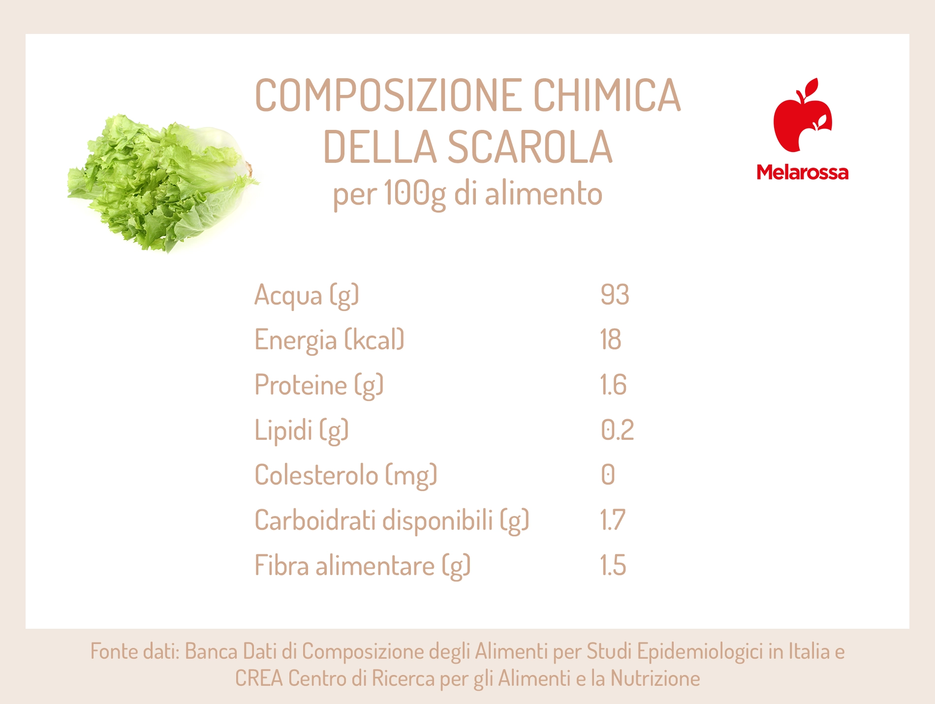 Scarola: proprietà, calorie, come cucinarla e le migliori ricette 1 Scarola: composizione chimica e calorie