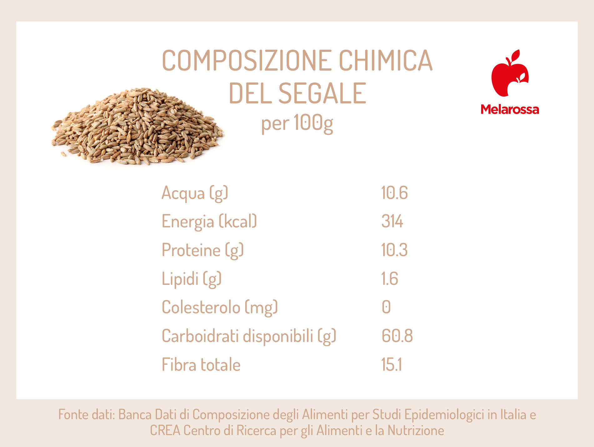 Segale: che cos'è, calorie, benefici, la ricetta del pane nero 2 le calorie della segale