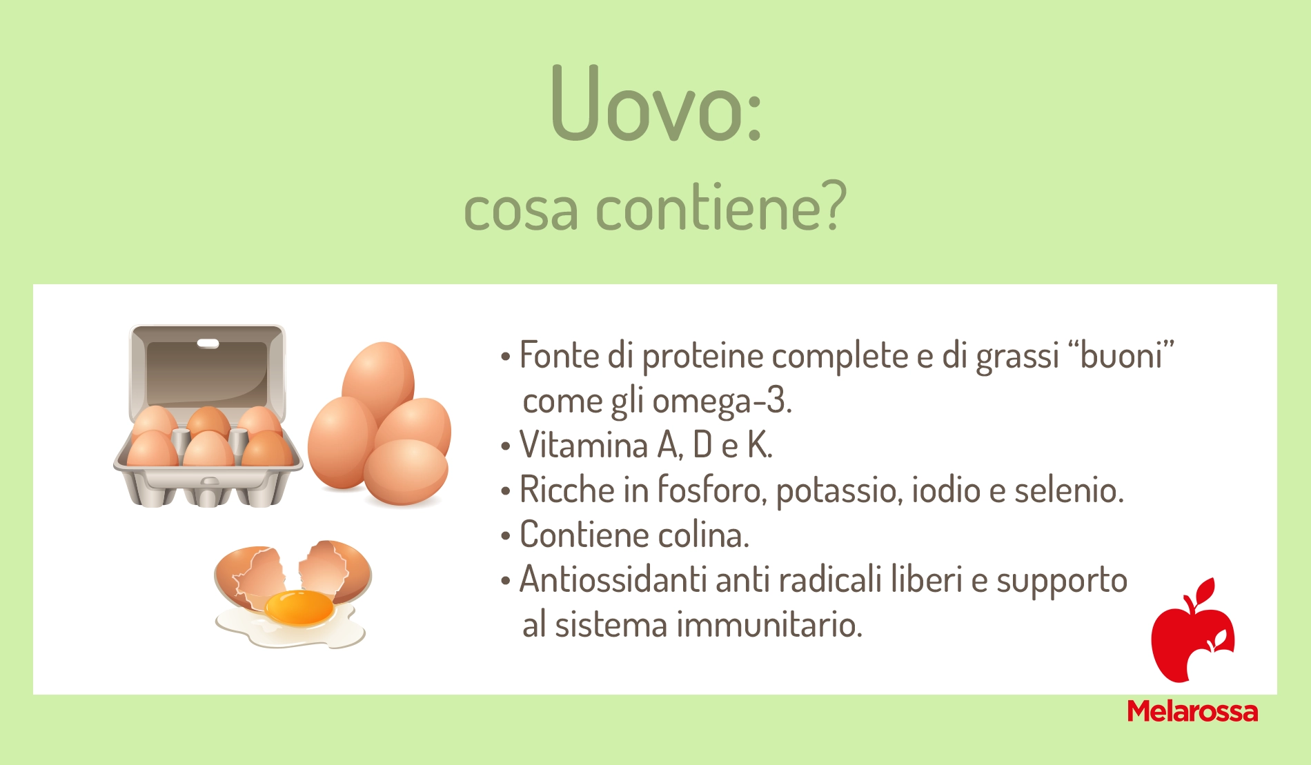 Uova e colesterolo: fanno davvero male? Verità e falsi miti 1 grafica che illustra a cosa fanno bene le uova
