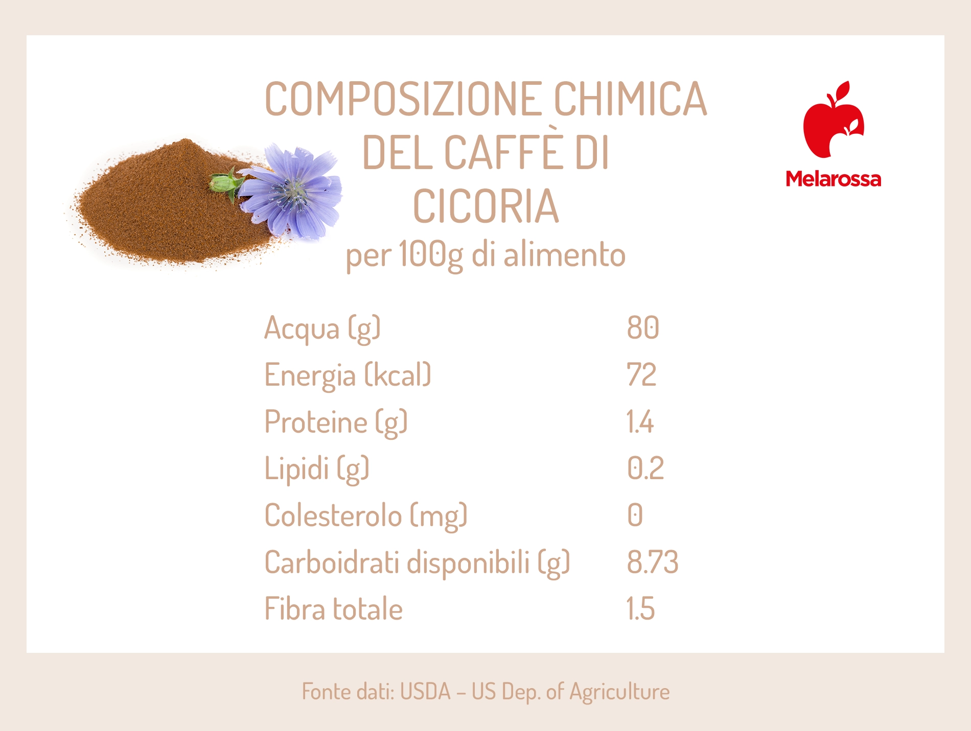 Caffè di cicoria: cos’è, proprietà e usi di una bevanda diversa dal caffè 5 caffè di cicoria: composizione