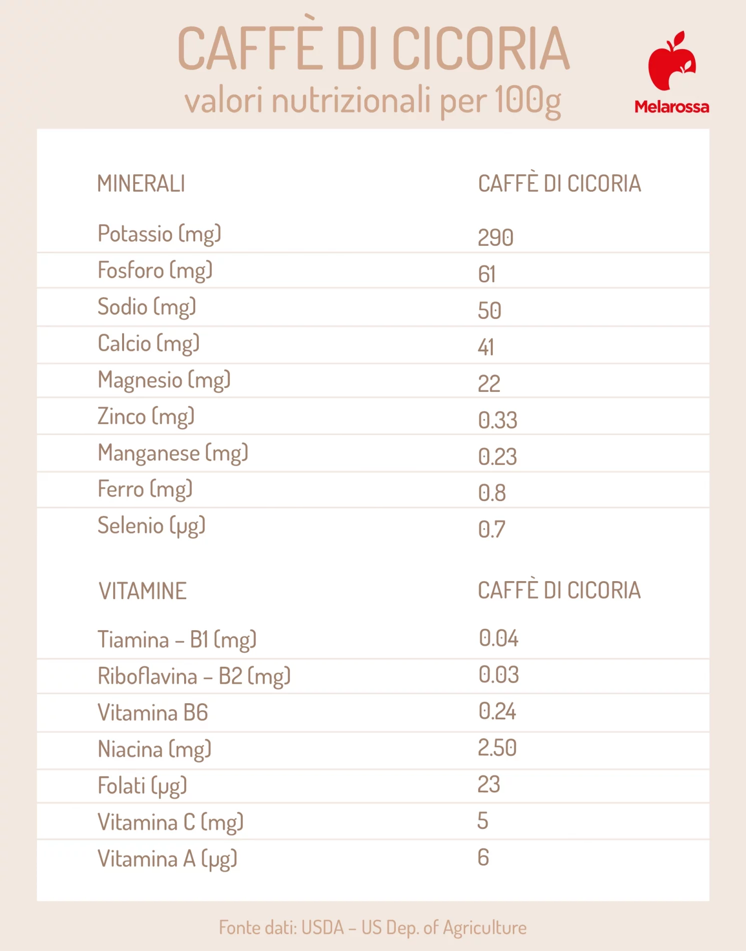 Caffè di cicoria: cos’è, proprietà e usi di una bevanda diversa dal caffè 4 valori nutrizionali del caffè di cicoria