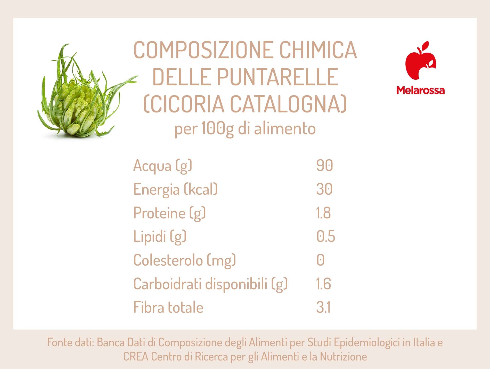 Puntarelle: cosa sono, benefici, valori nutrizionali, come pulirle e migliori ricette 1 puntarelle: calorie