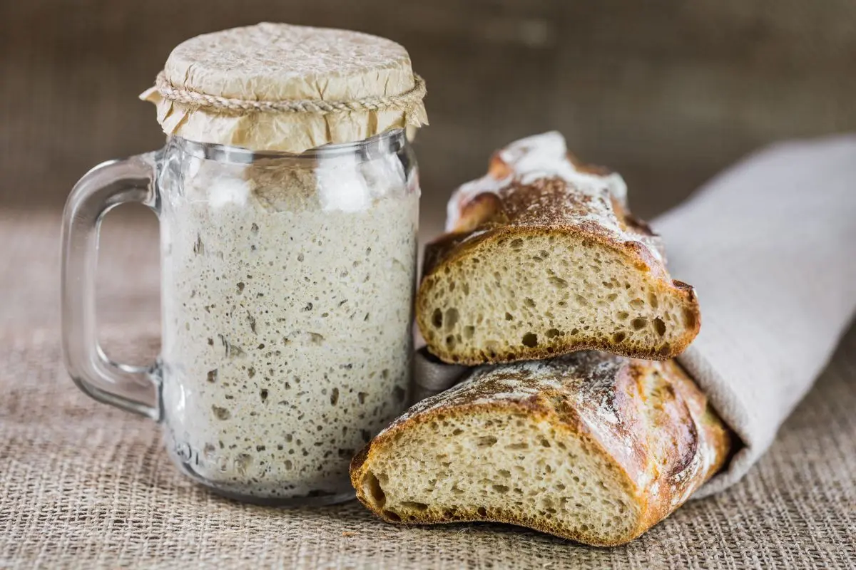Come fare il lievito madre in casa 6 ricette con lievito madre