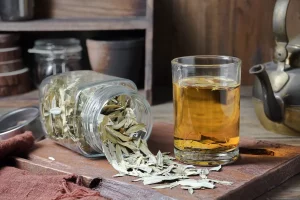 Senna (pianta): propriet&agrave;, benefici e usi del lasstivo naturale