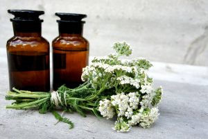 Achillea: che cos&rsquo;&egrave; propriet&agrave; e benefici, usi