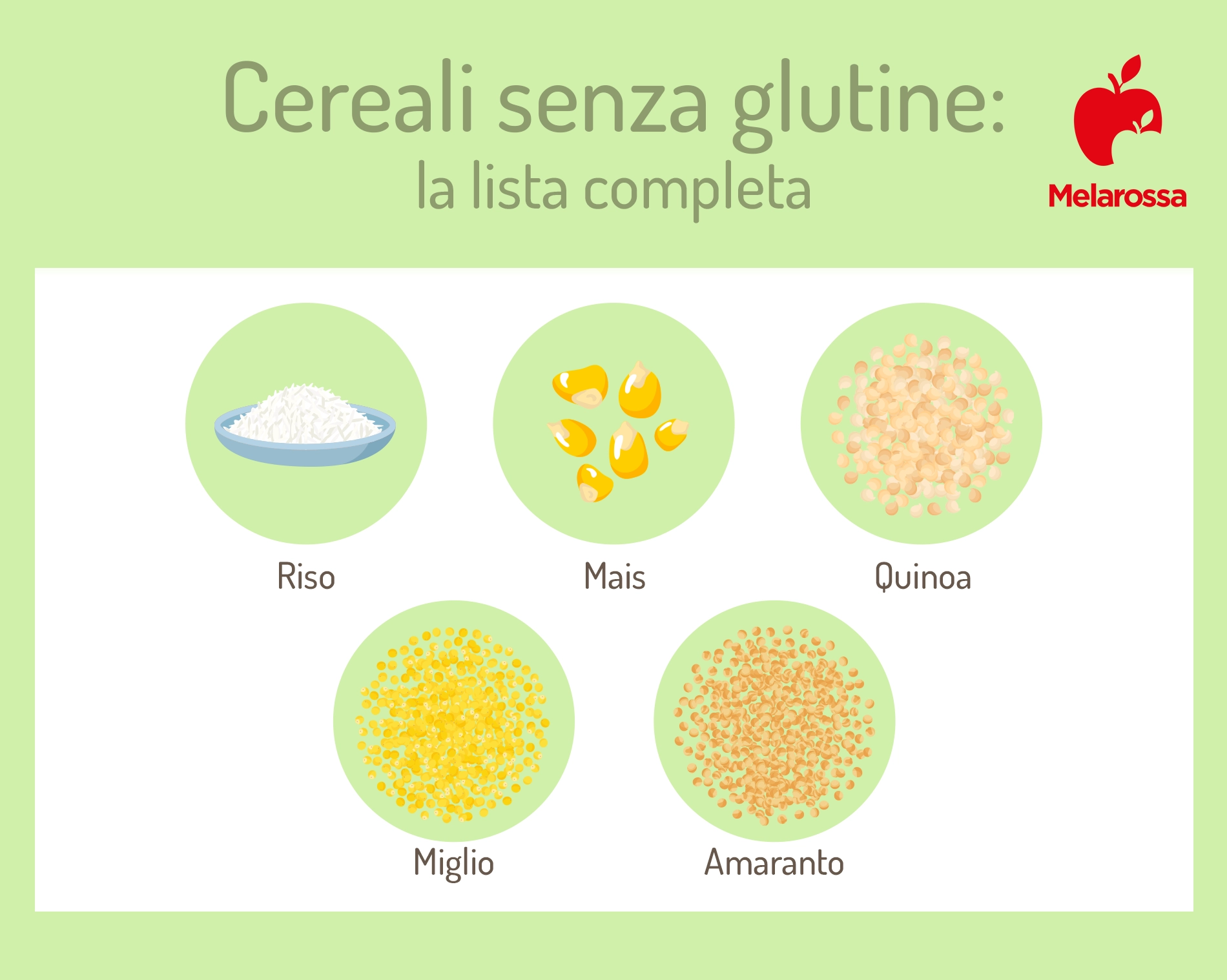 Cereali senza glutine: quali sono, elenco completo dei cereali gluten free 1 cereali senza glutine: la lista completa