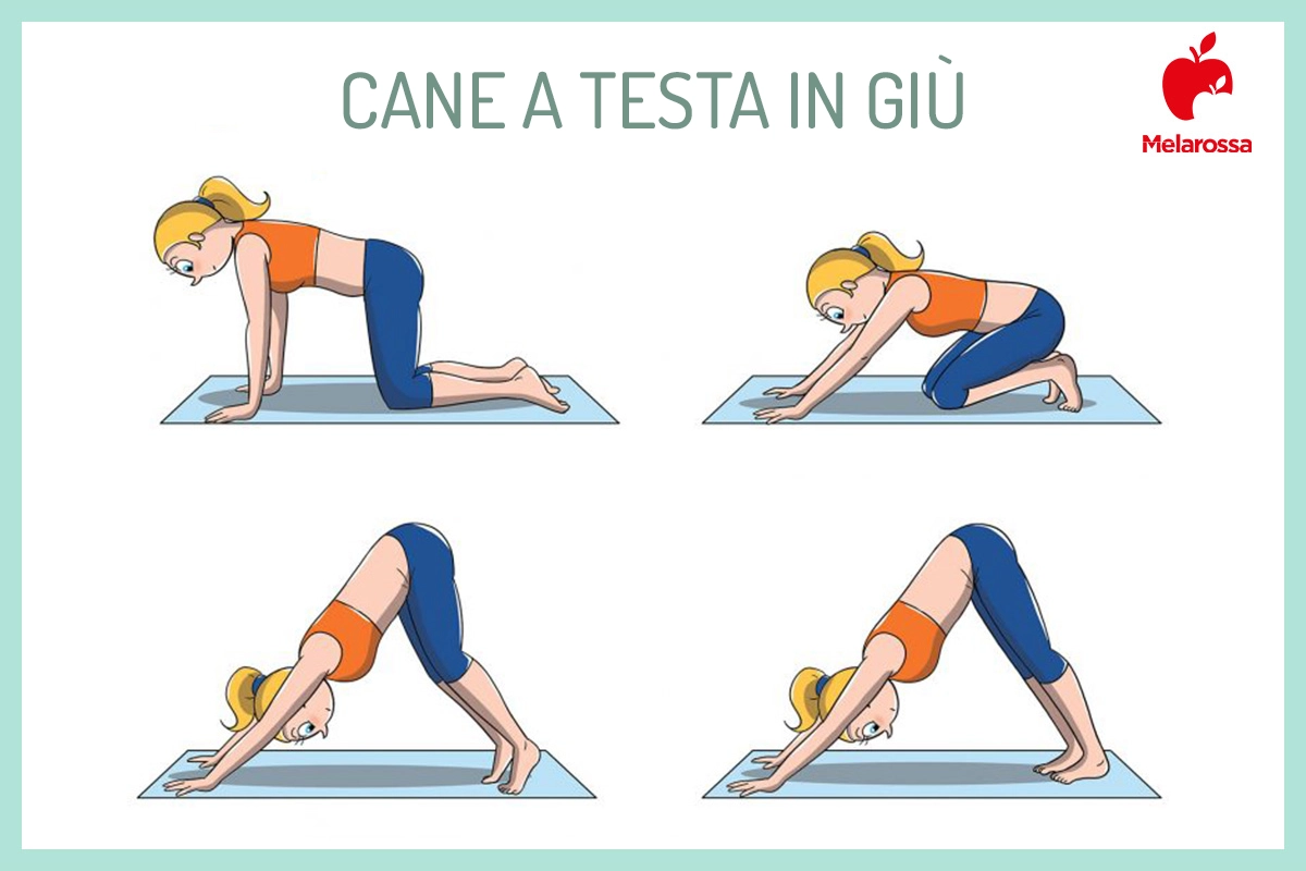 Defaticamento o cool down: a cosa serve, esempi di esercizi, benefici 4 cane a testa in giù : cool down