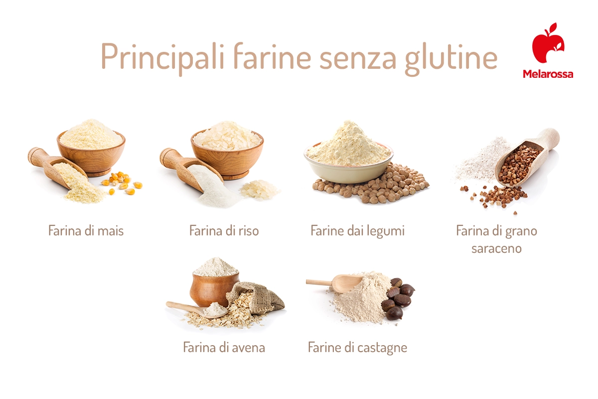 Farine: ecco quello che devi sapere 2 Farine senza glutine