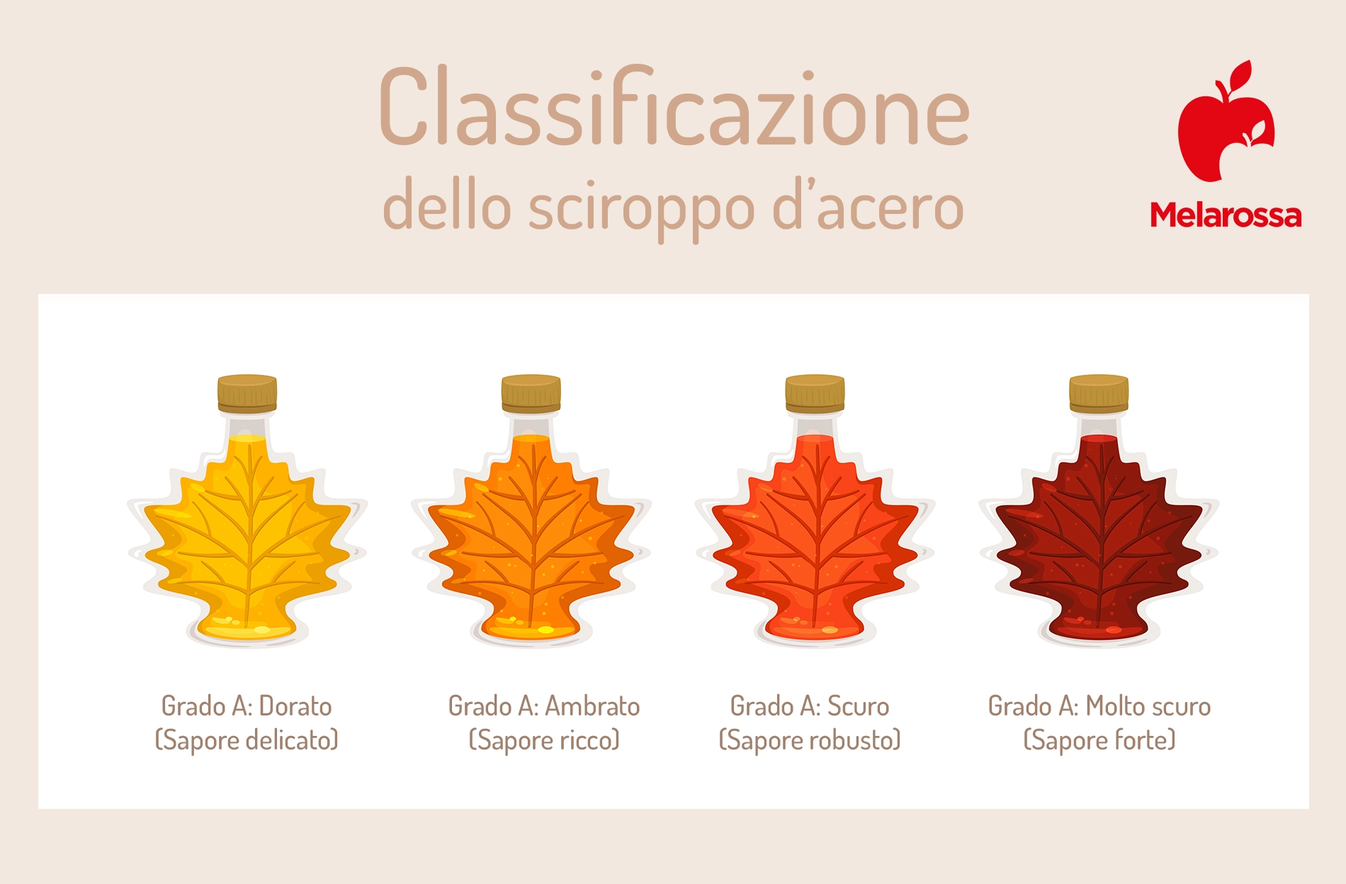 Sciroppo d'acero: proprietà, calorie, benefici e tipi 1 classificazione dello sciroppo d'acero