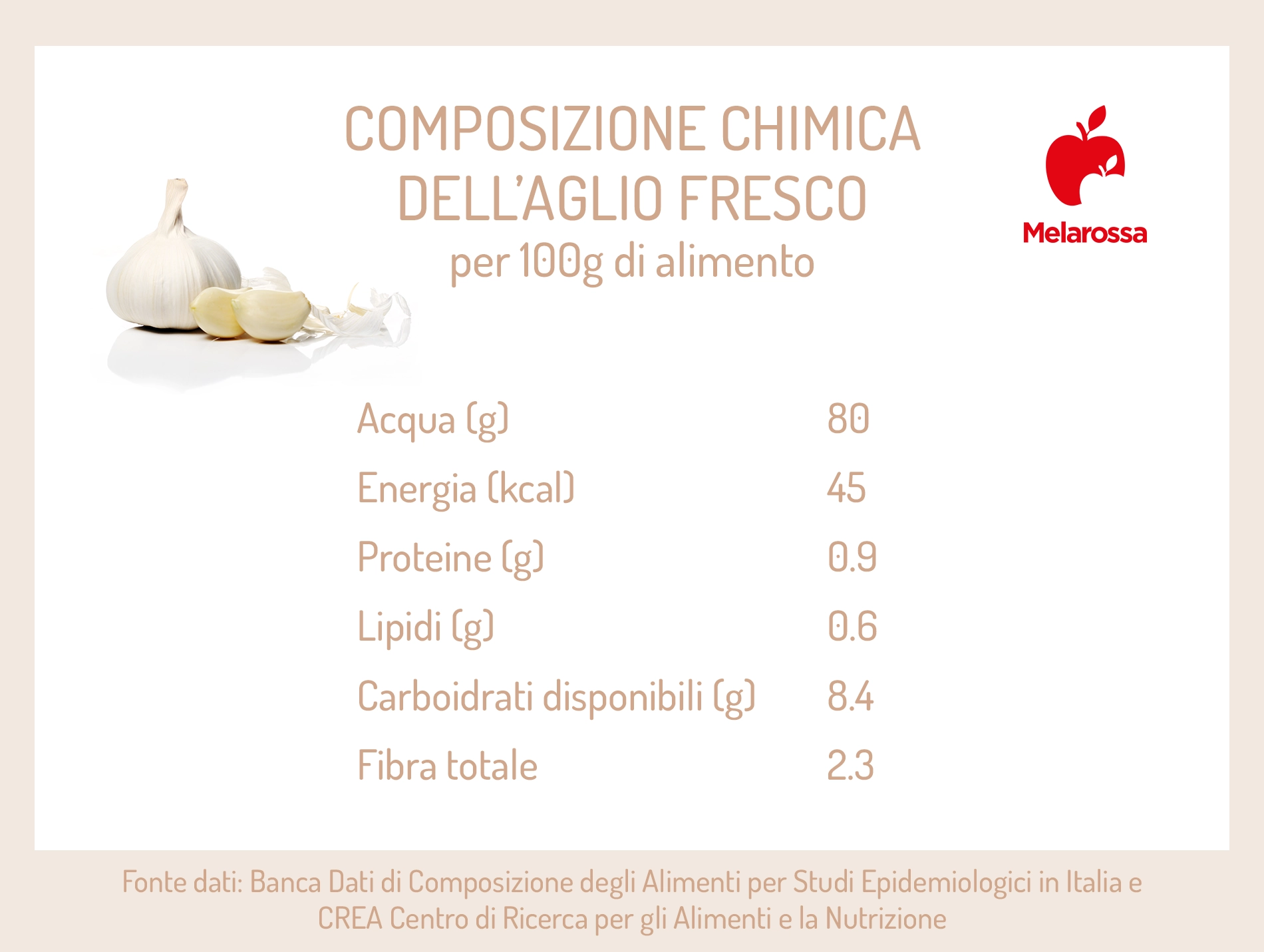 Aglio: proprietà, benefici e usi 1 grafica sulle proprietà nutrizionali dell'aglio fresco