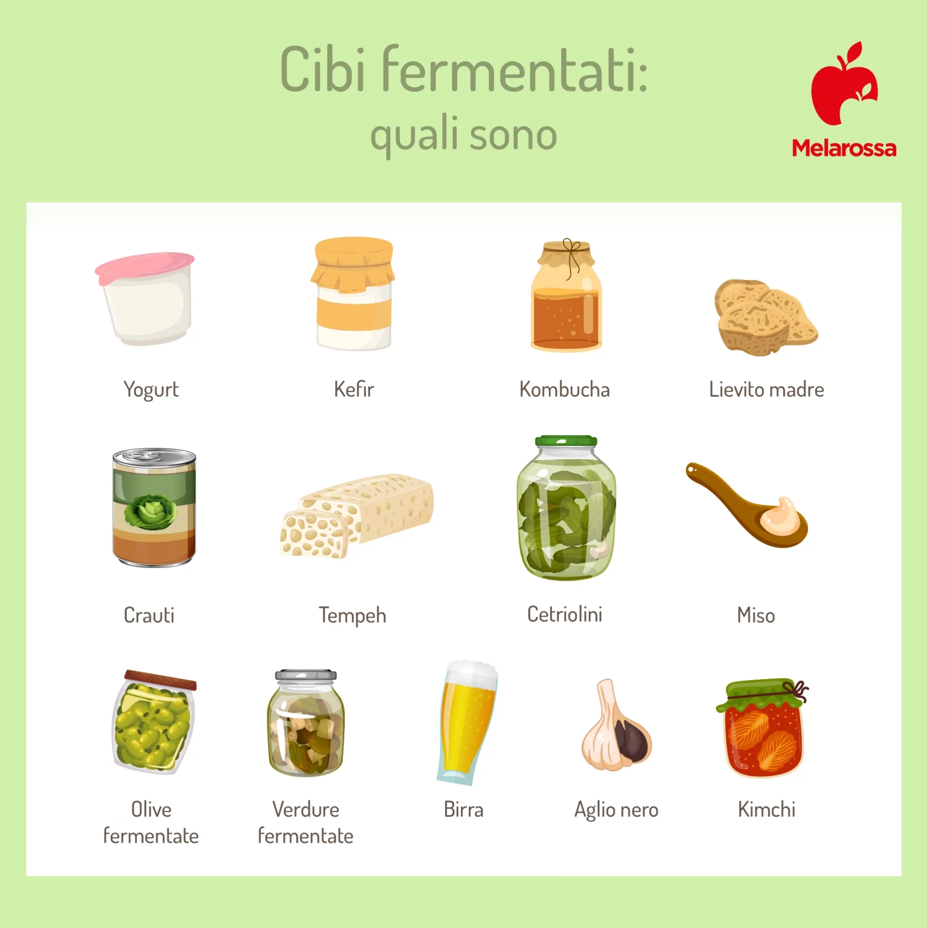 Cibi fermentati: cosa sono, benefici e lista completa 1 Quali sono i cibi fermentati