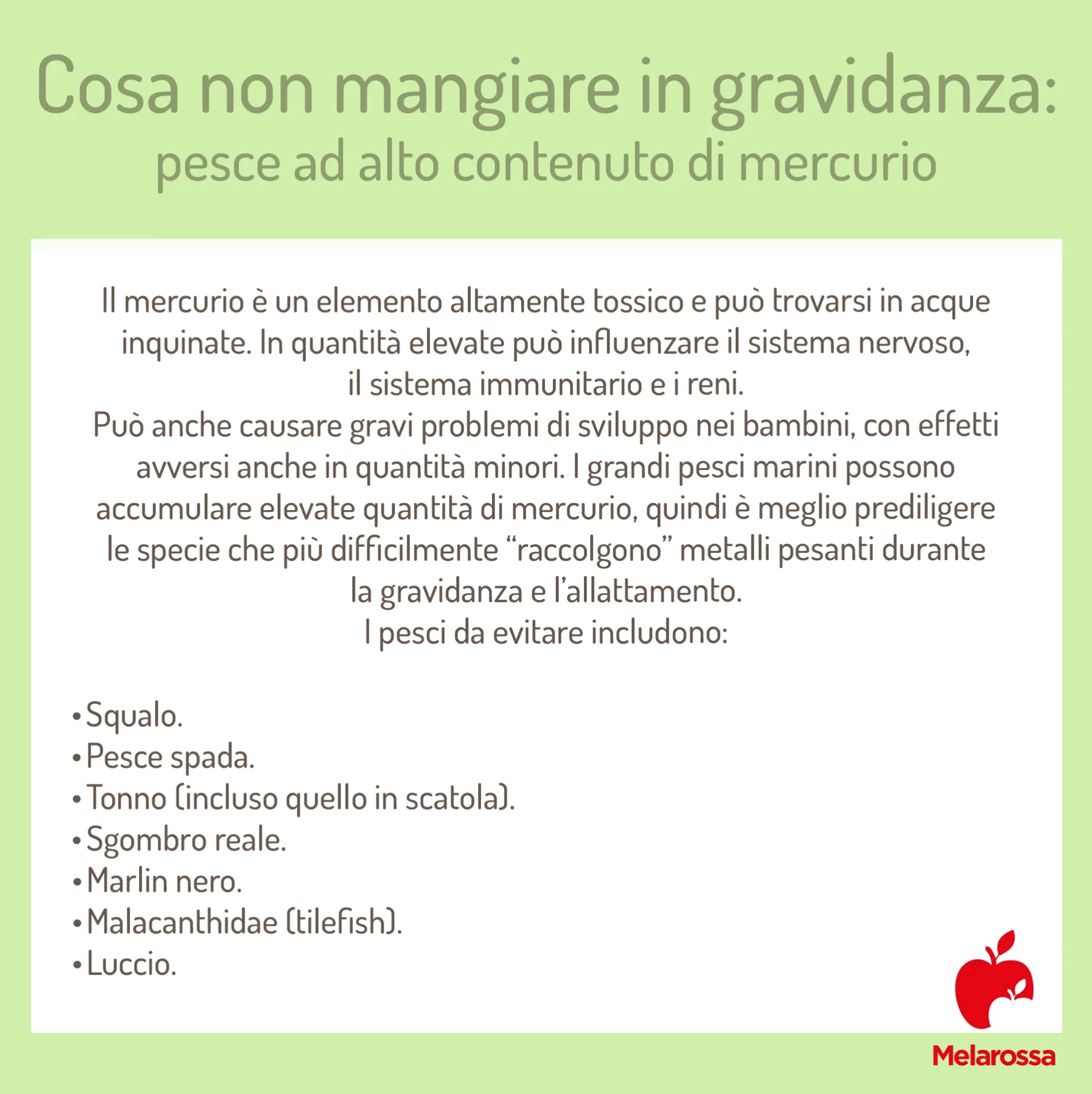 Cosa non mangiare in gravidanza: tutti i cibi da evitare 2 cosa non mangiare in gravidanza: lista pesci ad alto contenuto di mercurio