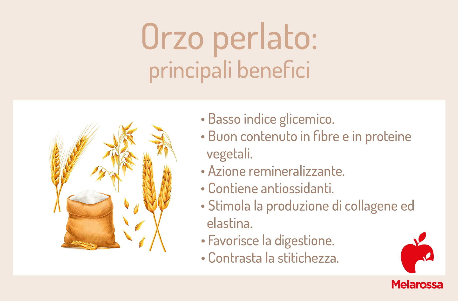 Orzo perlato: proprietà, benefici, ricette e come si cucina 2 orzo perlato: benefici