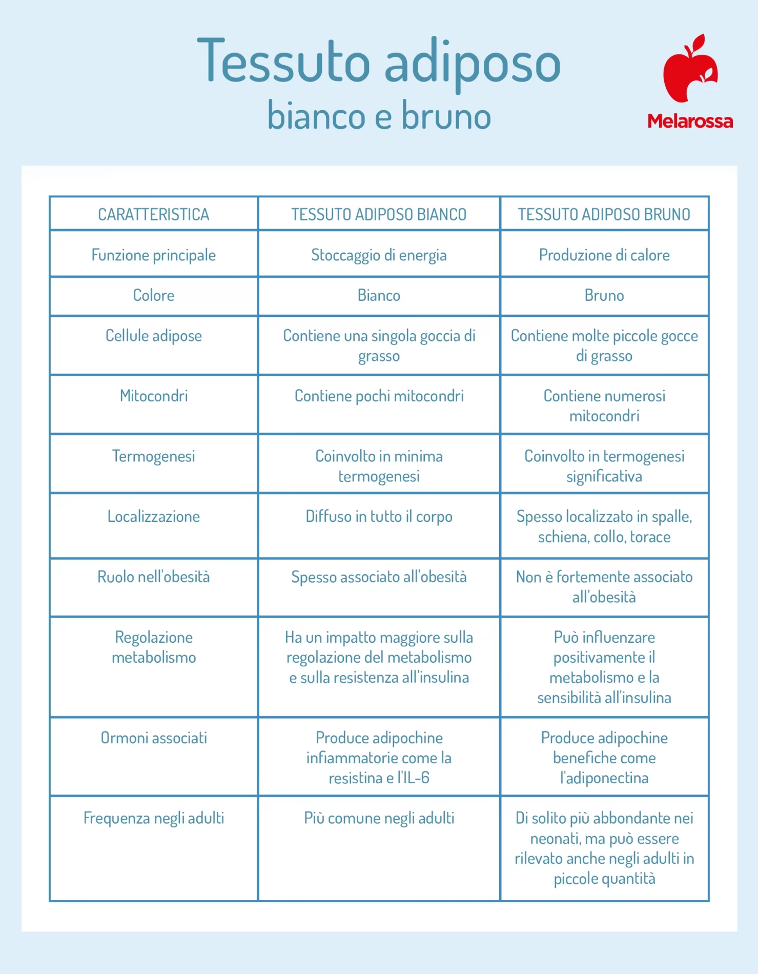 Tessuto adiposo: che cos'è, come si forma e come eliminarlo 2 tessuto adiposo bianco e bruno: quali sono le differenze