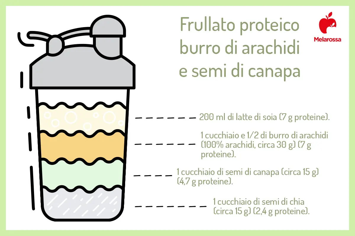 Frullati proteici: cosa sono, come si preparano, ricette per farli in casa 6 ricette di frullati proteici con burro d'arachidi e semi di canapa