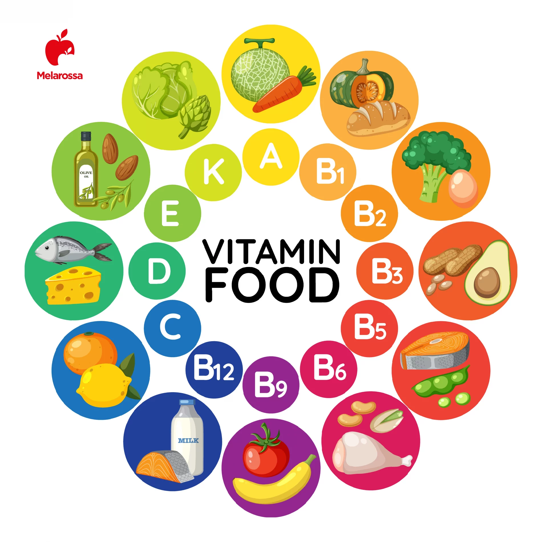 Vitamine: elenco, a cosa servono, alimenti ricchi, carenze e quando usare integratori 3 grafica che rappresenta tutte le vitamine e i cibi ricchi