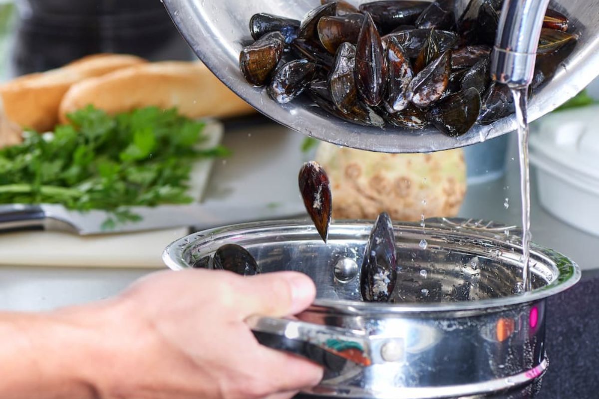 Cozze: proprietà nutrizionali, calorie, come cucinarle, le migliori ricette 2 cozze.lavare