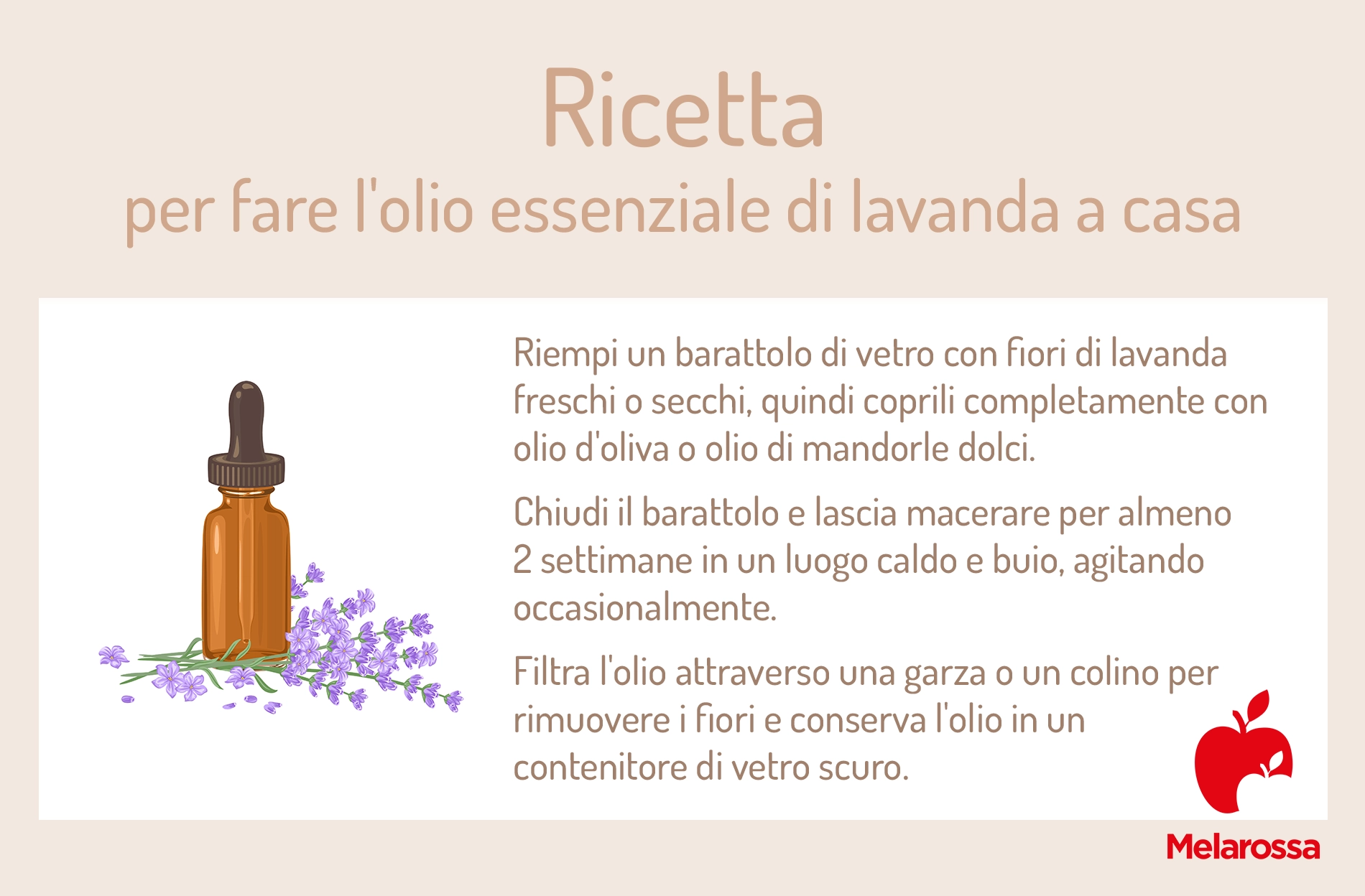 Oli essenziali: quali sono, proprietà, benefici e usi 7 Grafica su come fare l'olio essenziale di lavanda in casa