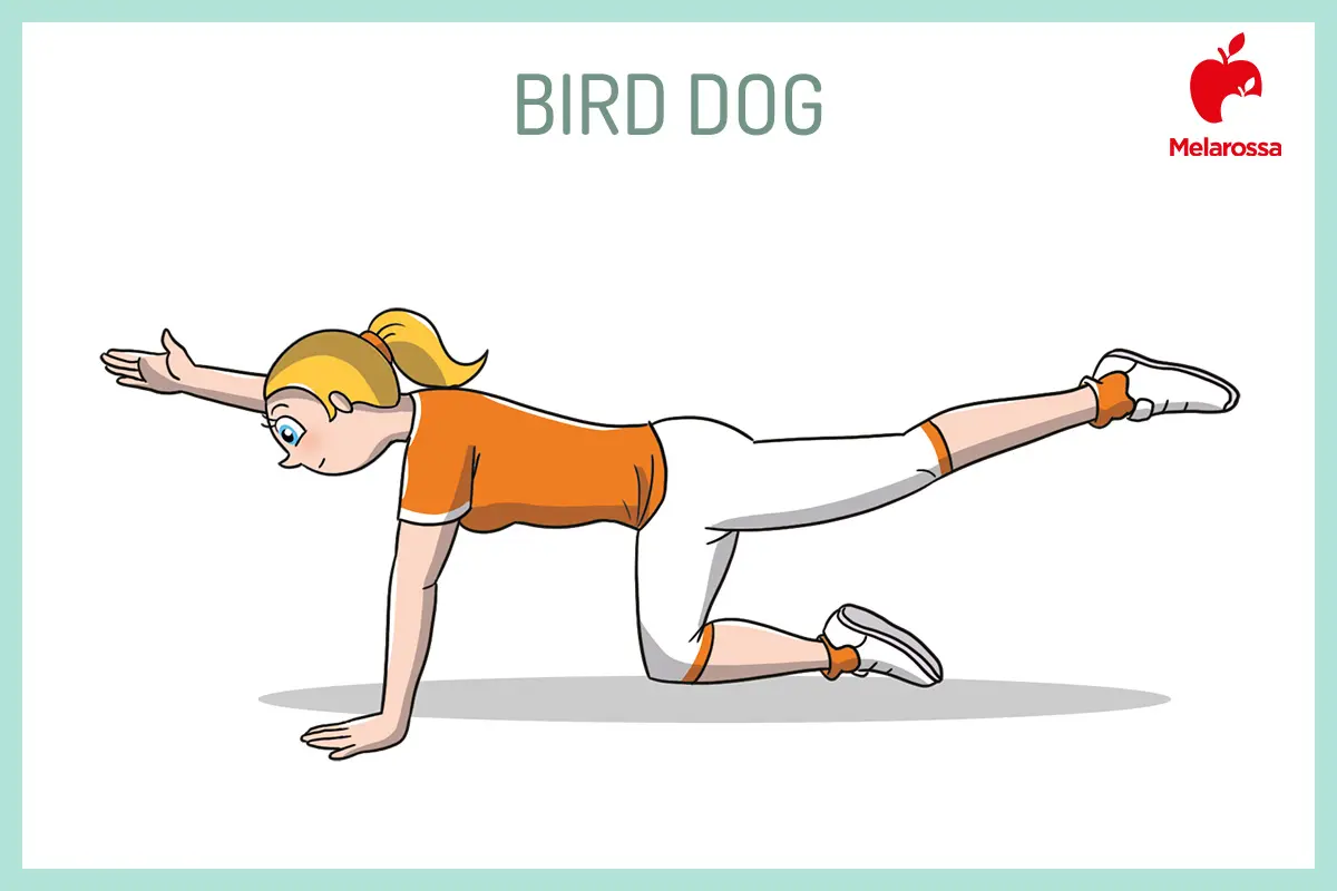 Esercizi per il mal di schiena per alleviare il dolore e migliorare la flessibilità 4 Illustrazione di esercizi per il mal di schiena: una donna esegue l'esercizio del bird dog