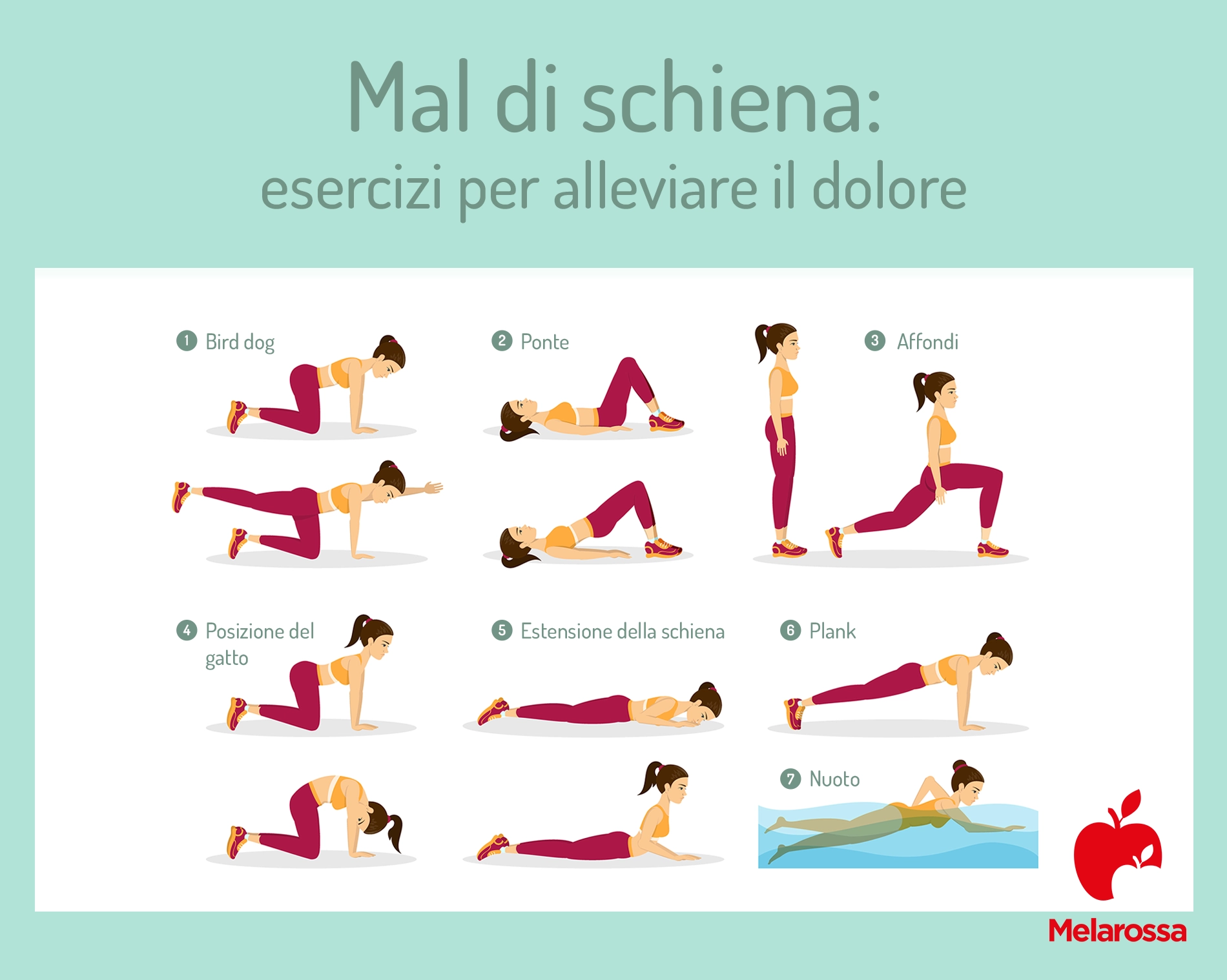 Esercizi per il mal di schiena per alleviare il dolore e migliorare la flessibilità 2 Grafica con illustrazioni degli esercizi da fare per alleviare il mal di schiena