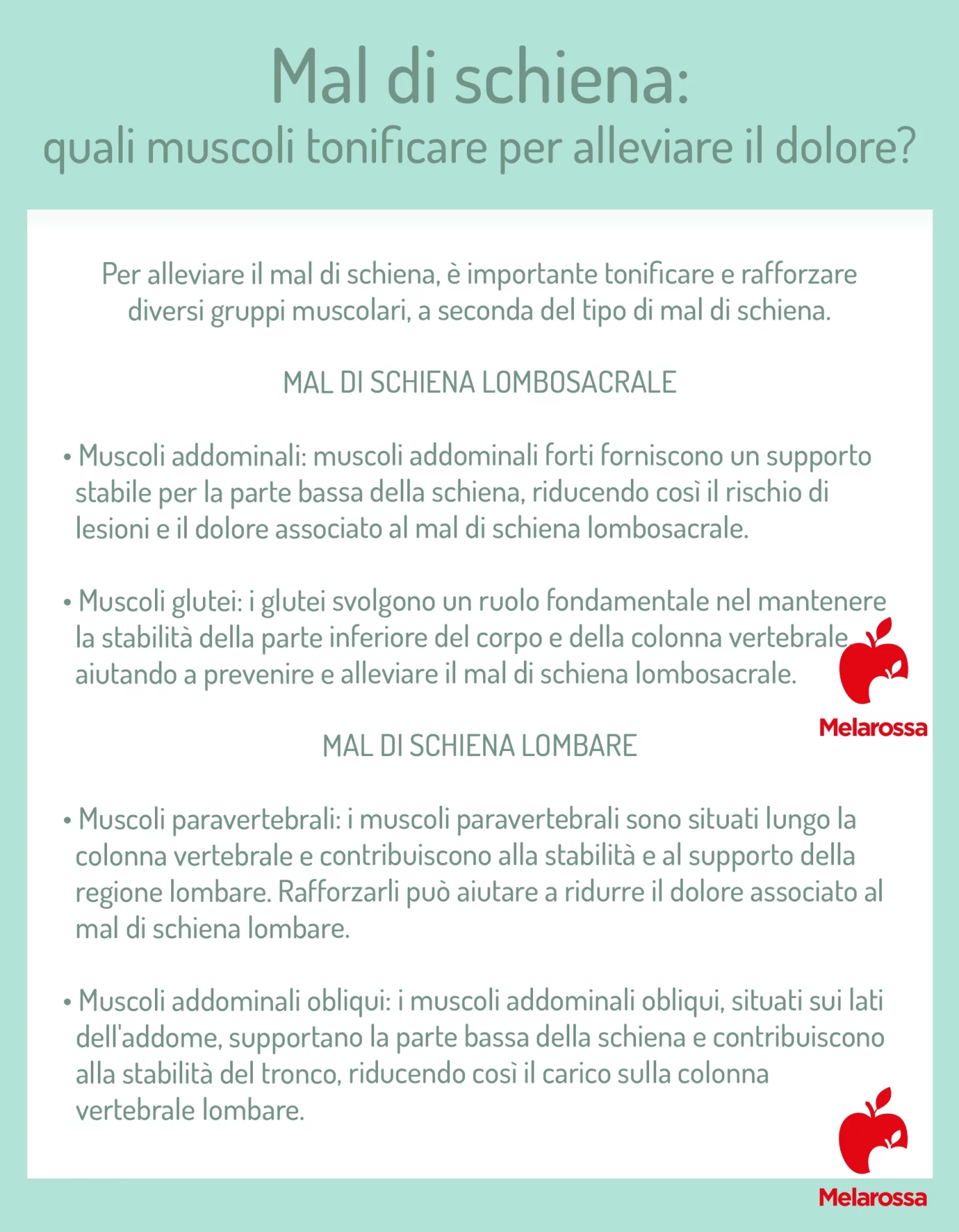 Esercizi per il mal di schiena per alleviare il dolore e migliorare la flessibilità 1 Tabella su mal di schiena esercizi da fare e quali muscoli allenare per alleviare il dolore