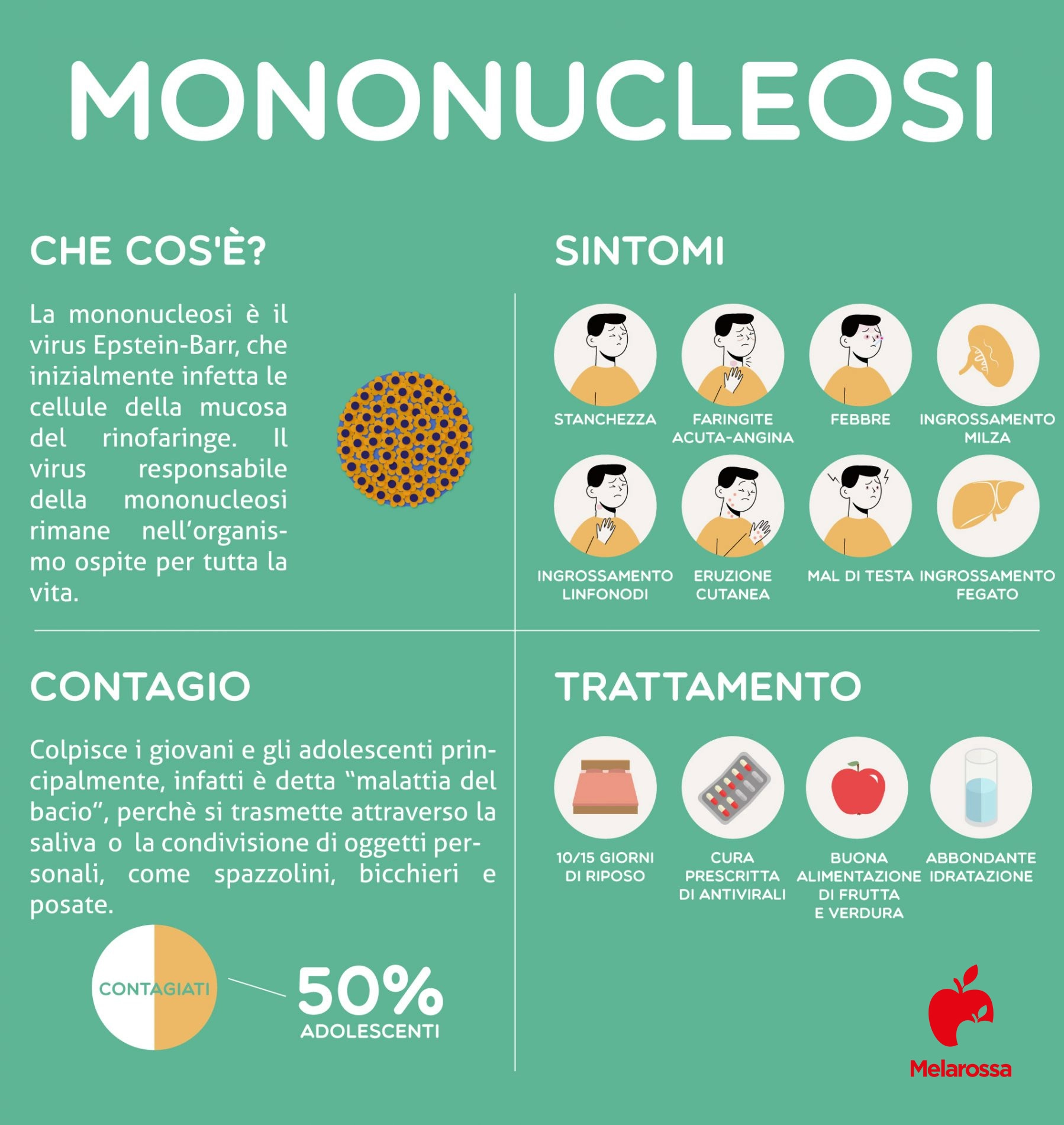Herpes: cos'è, tipi, sintomi e trattamento 6 mononucleosi infografica copia