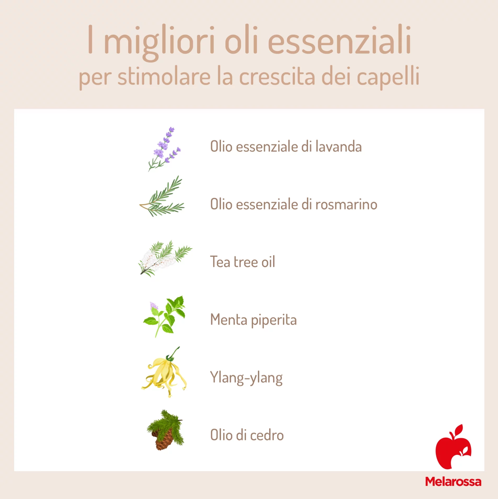 Oli essenziali: quali sono, proprietà, benefici e usi 5 oli essenziali i migliori per la crescita dei capelli
