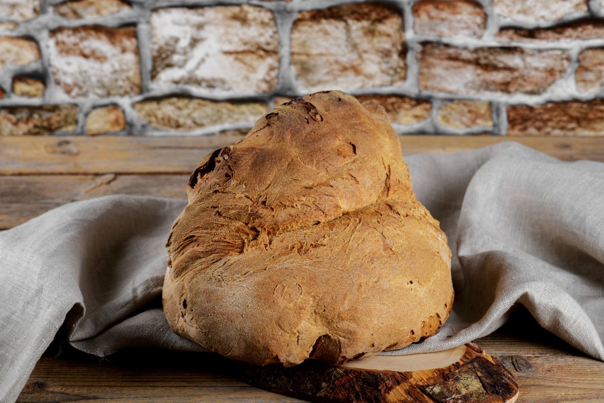 Tipi di pane: tipologie più diffuse in Italia, valori nutrizionali e come mangiarli a dieta 2 Una forma di pane di Matera