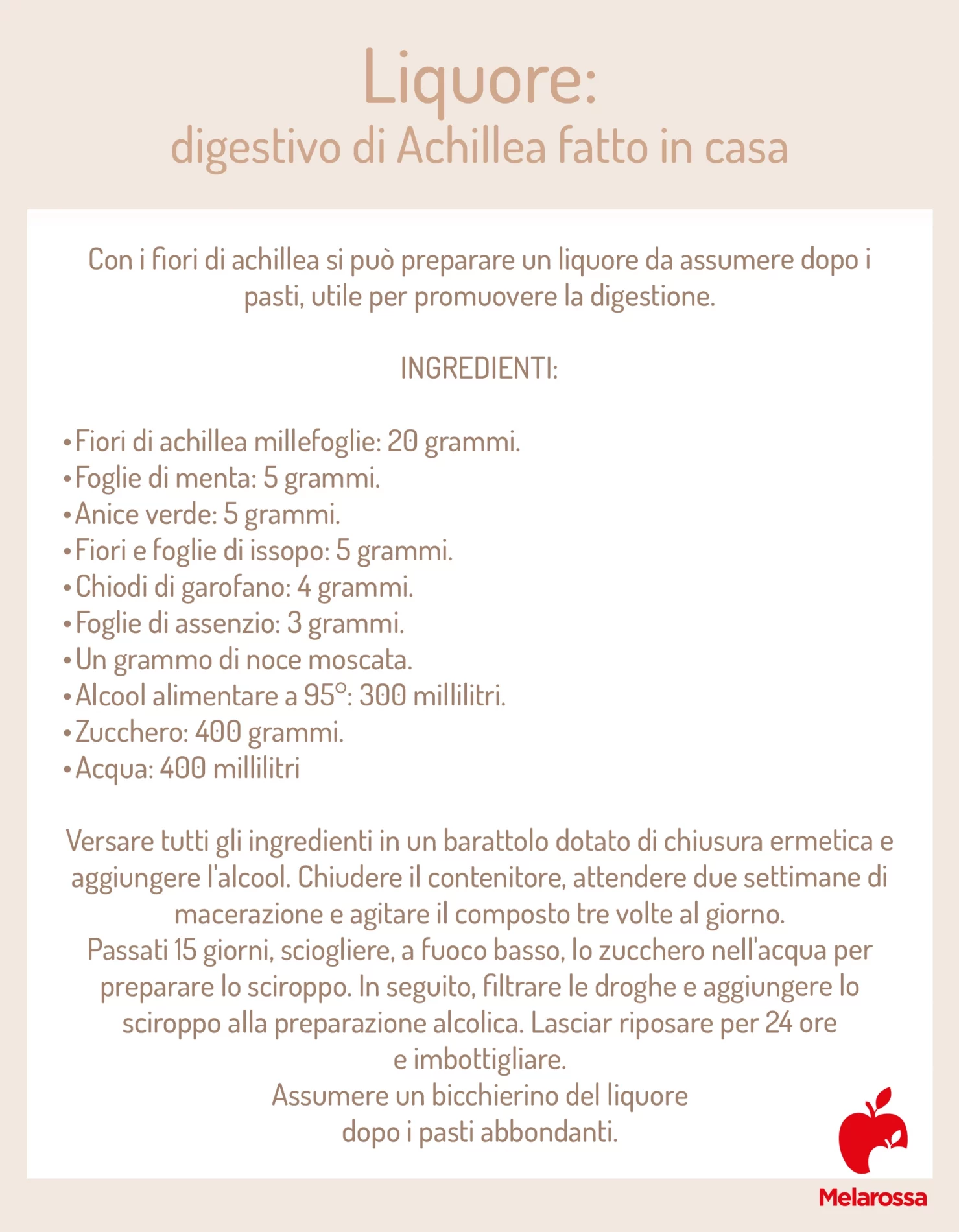 Achillea: che cos'è proprietà e benefici, usi 3 grafica che spiega come preparare un digestivo di Achillea a casa con ingredienti e preparazione