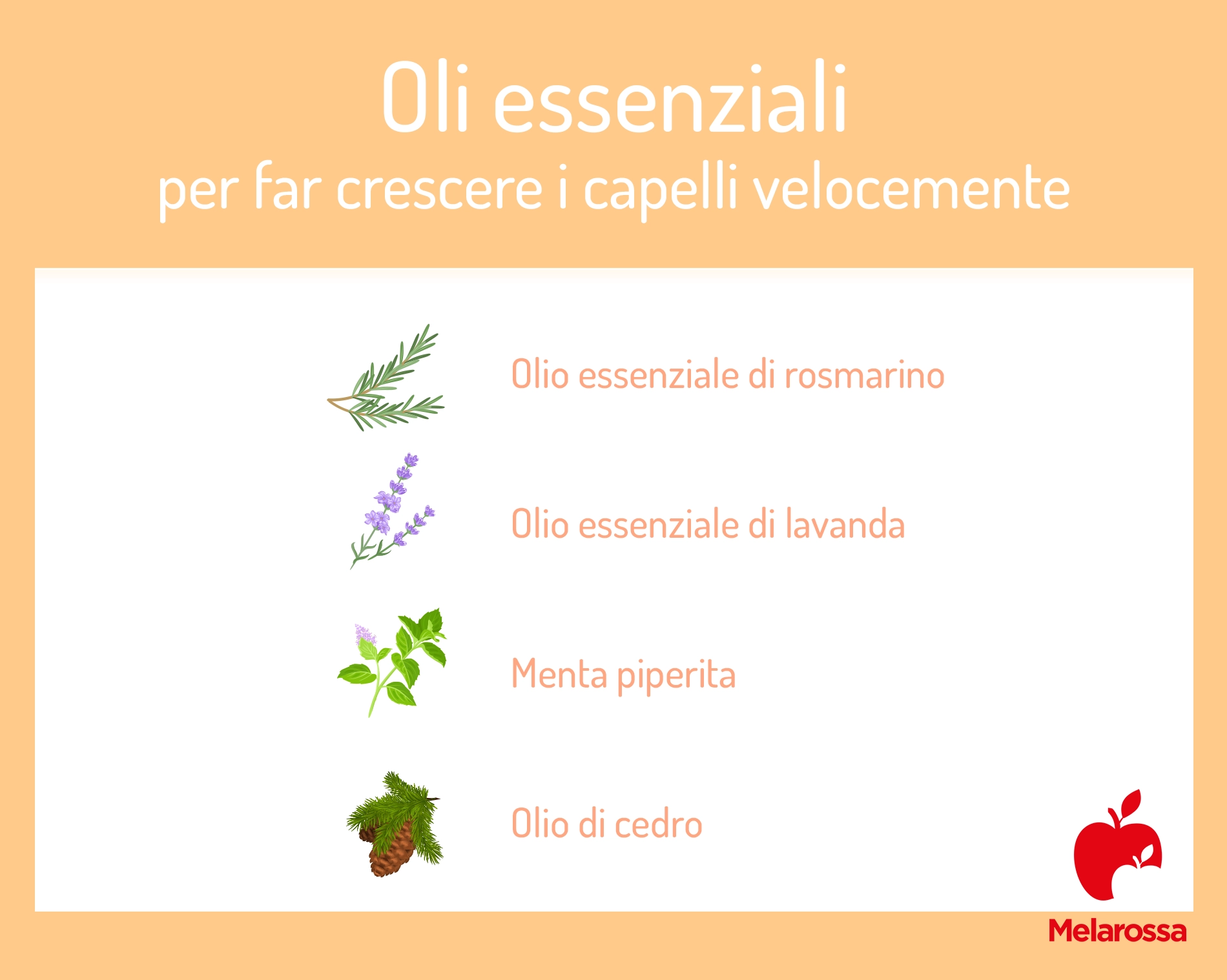 Guida su come far crescere i capelli: cosa mangiare, rimedi e integratori 3 Grafica che elenca gli oli essenziali per far crescere i capelli