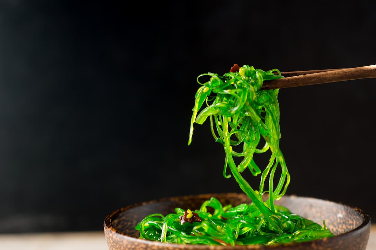 Wakame: proprietà, benefici e come si mangia l'alga 2 come usare l alga wakame