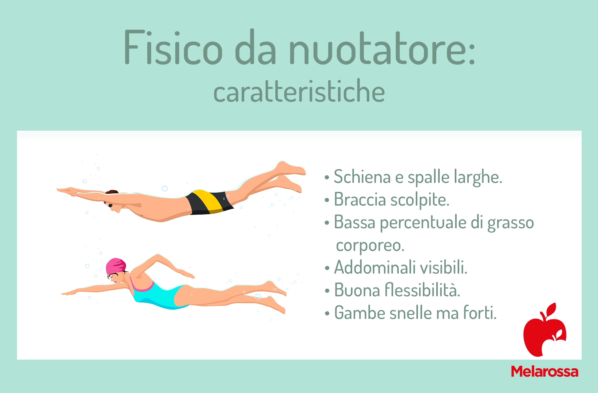 Fisico da nuotatore: caratteristiche, come ottenerlo, allenamento e dieta 1 grafica sulle caratteristiche del fisico del nuotatore
