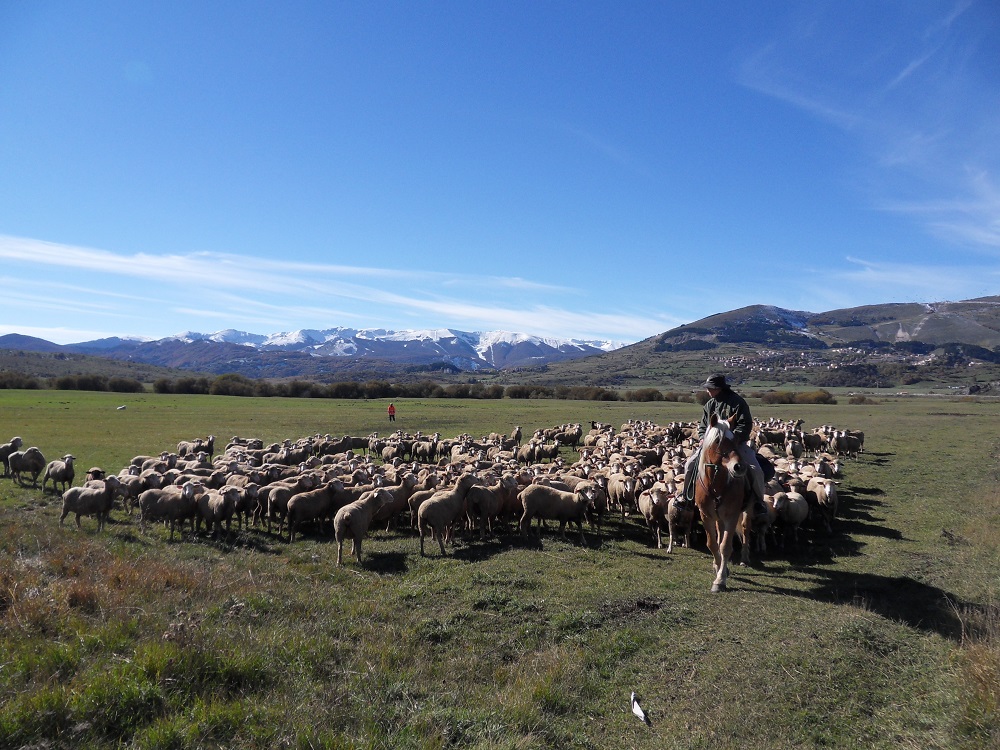 “Abruzzo Welcome”: l’iniziativa che offre esperienze outdoor ecosostenibili alla scoperta dell’Abruzzo 3 A Cavallo sulla Majella