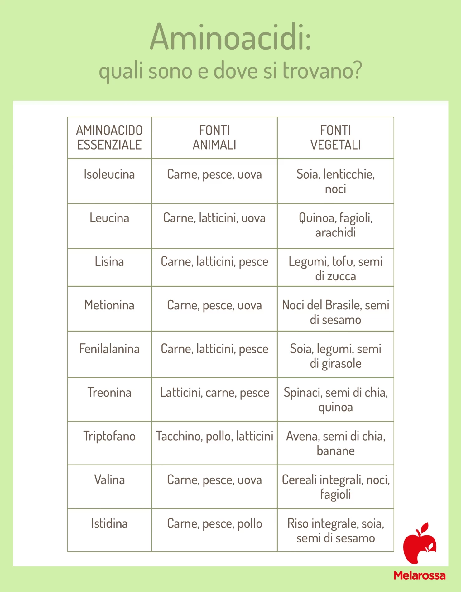 Aminoacidi essenziali: quali sono, dove si trovano e a cosa servono 2 tabella grafica che spiega quali sono gli aminoacidi e dove si trovano
