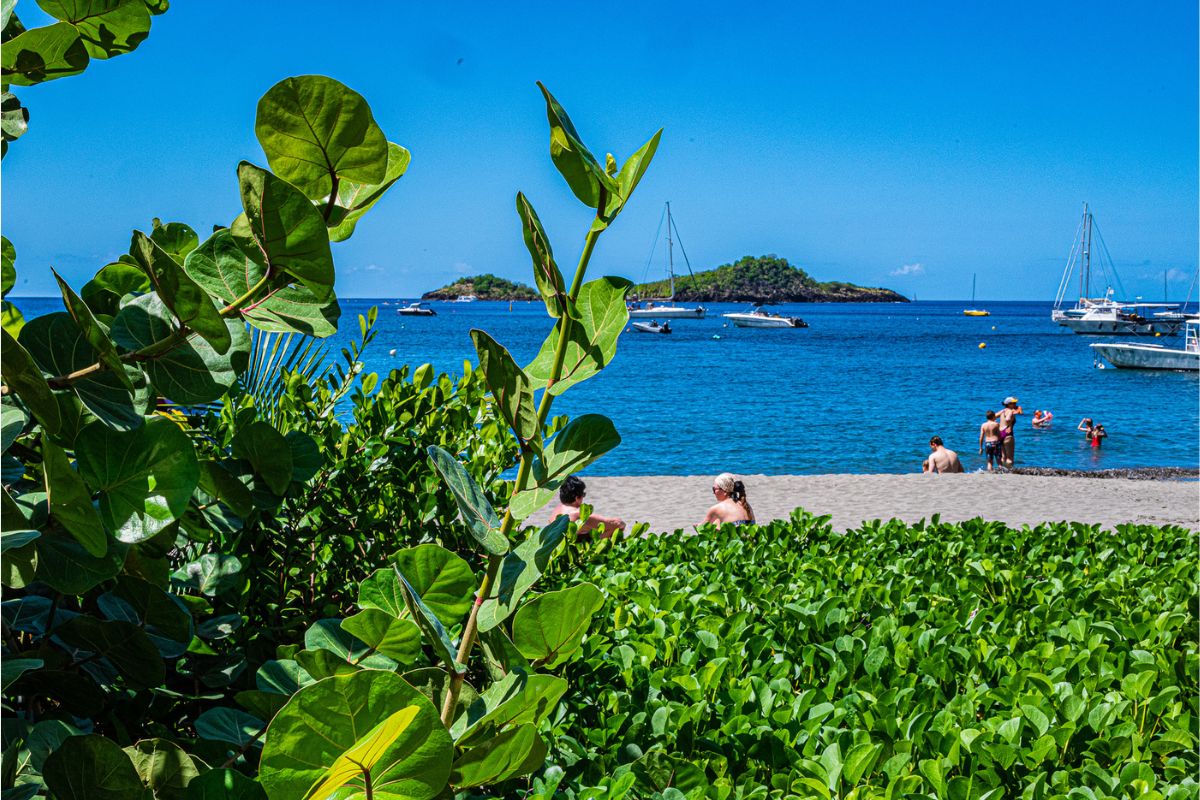 Alla scoperta dell'isola di Guadalupa 1 guadalupa paesaggio